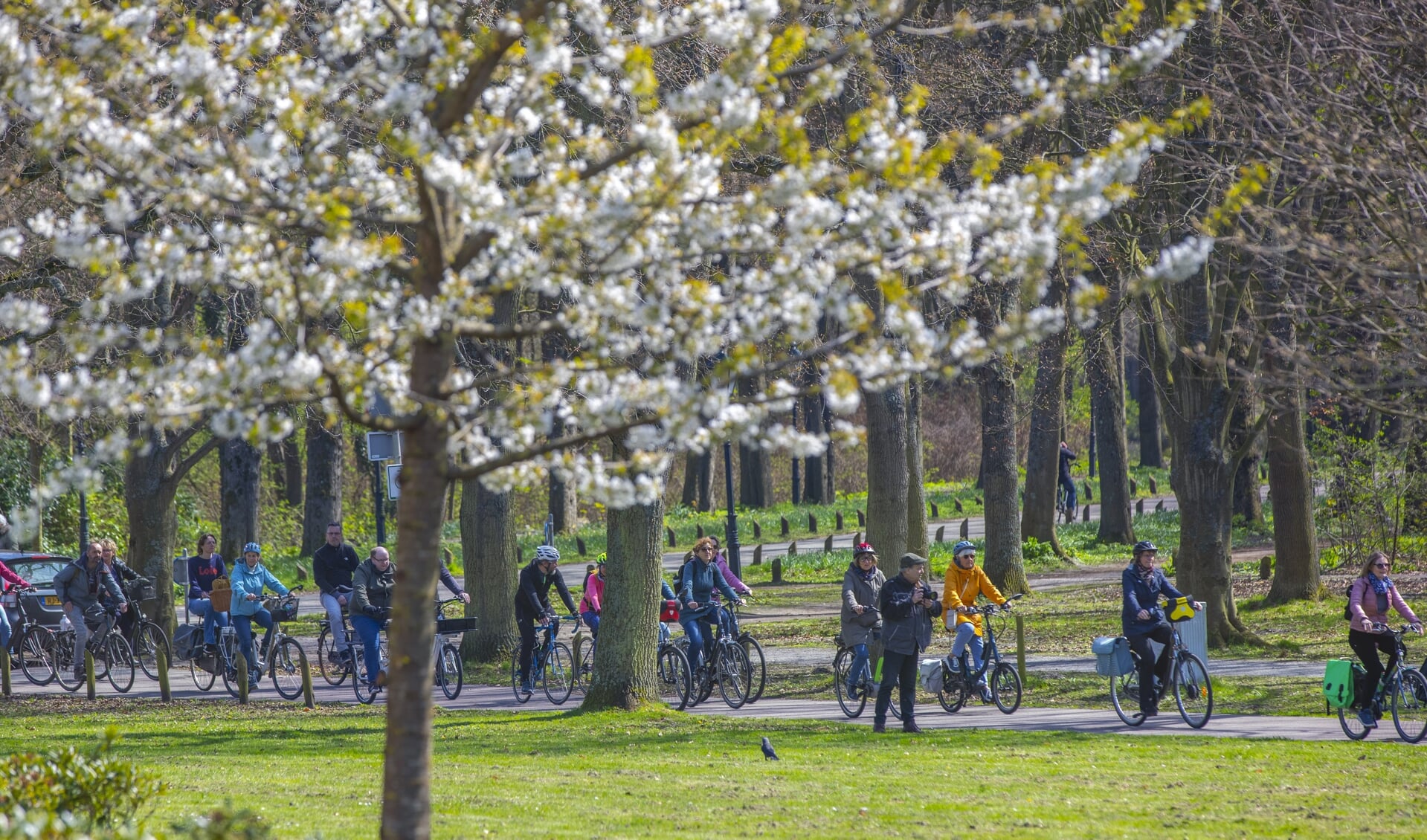 De fietstocht Van Kas tot Kust aan voerde door de mooie natuur van de omgeving.