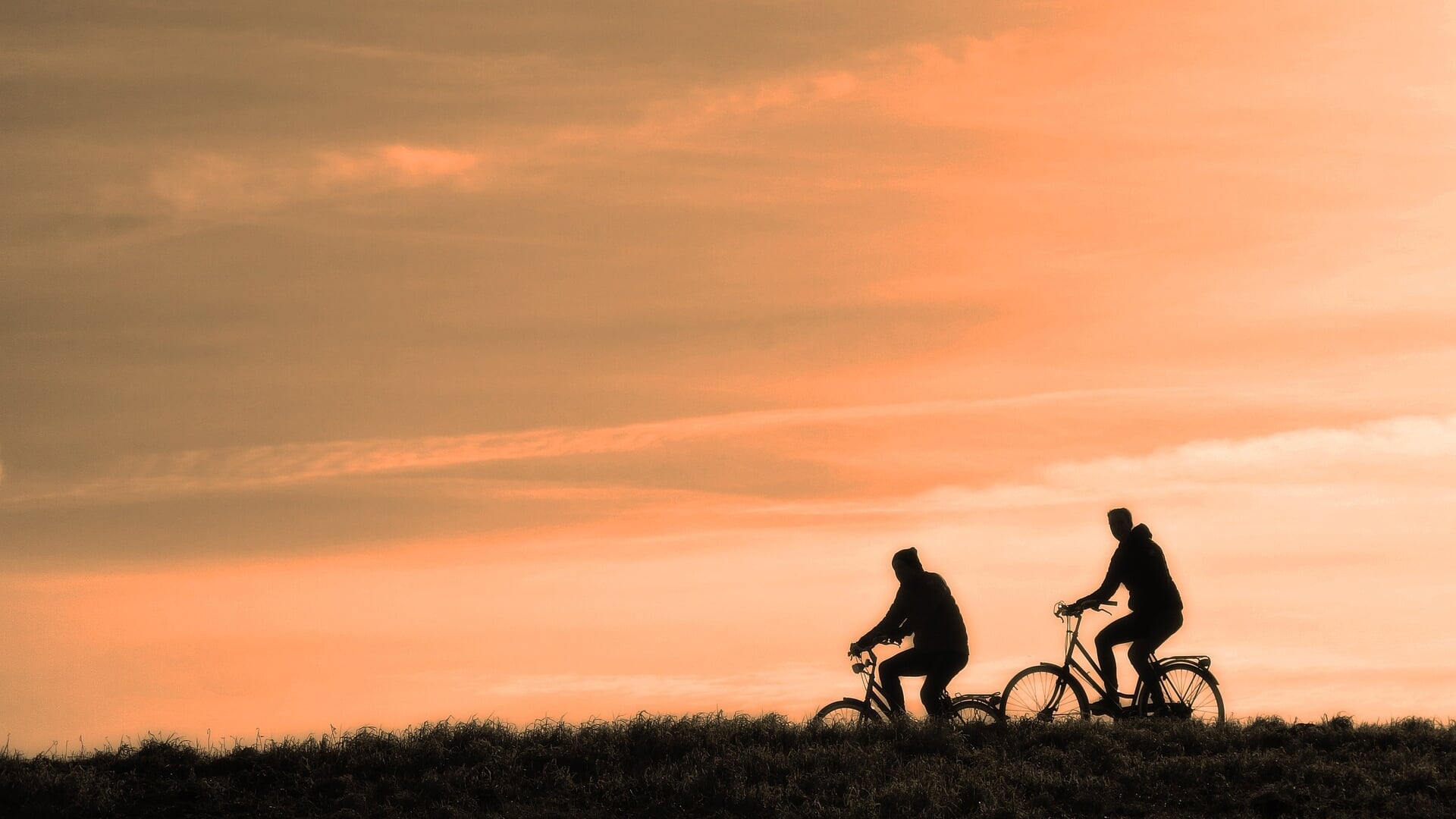 Ontdek de mooiste fietsroutes van Alkmaar en omgeving!