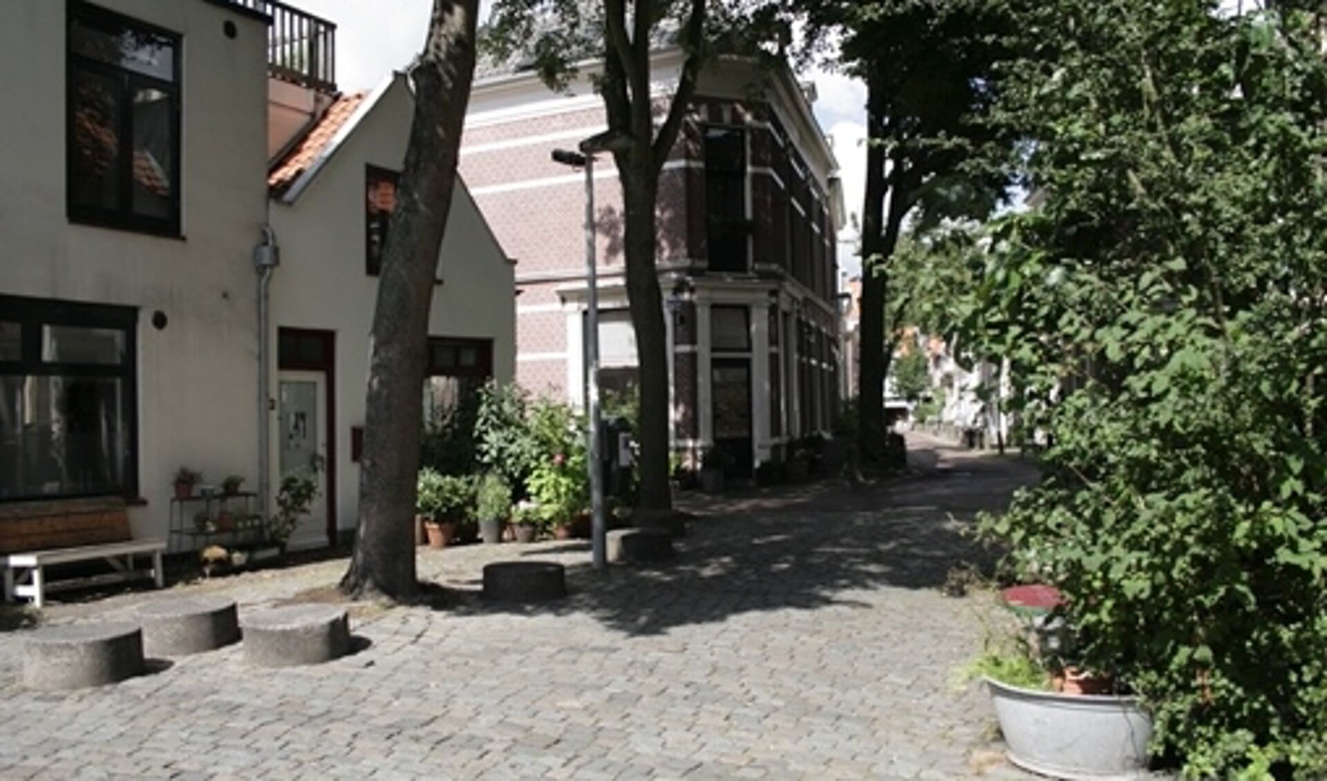Leer meer over de wijken en hofjes in Haarlem.