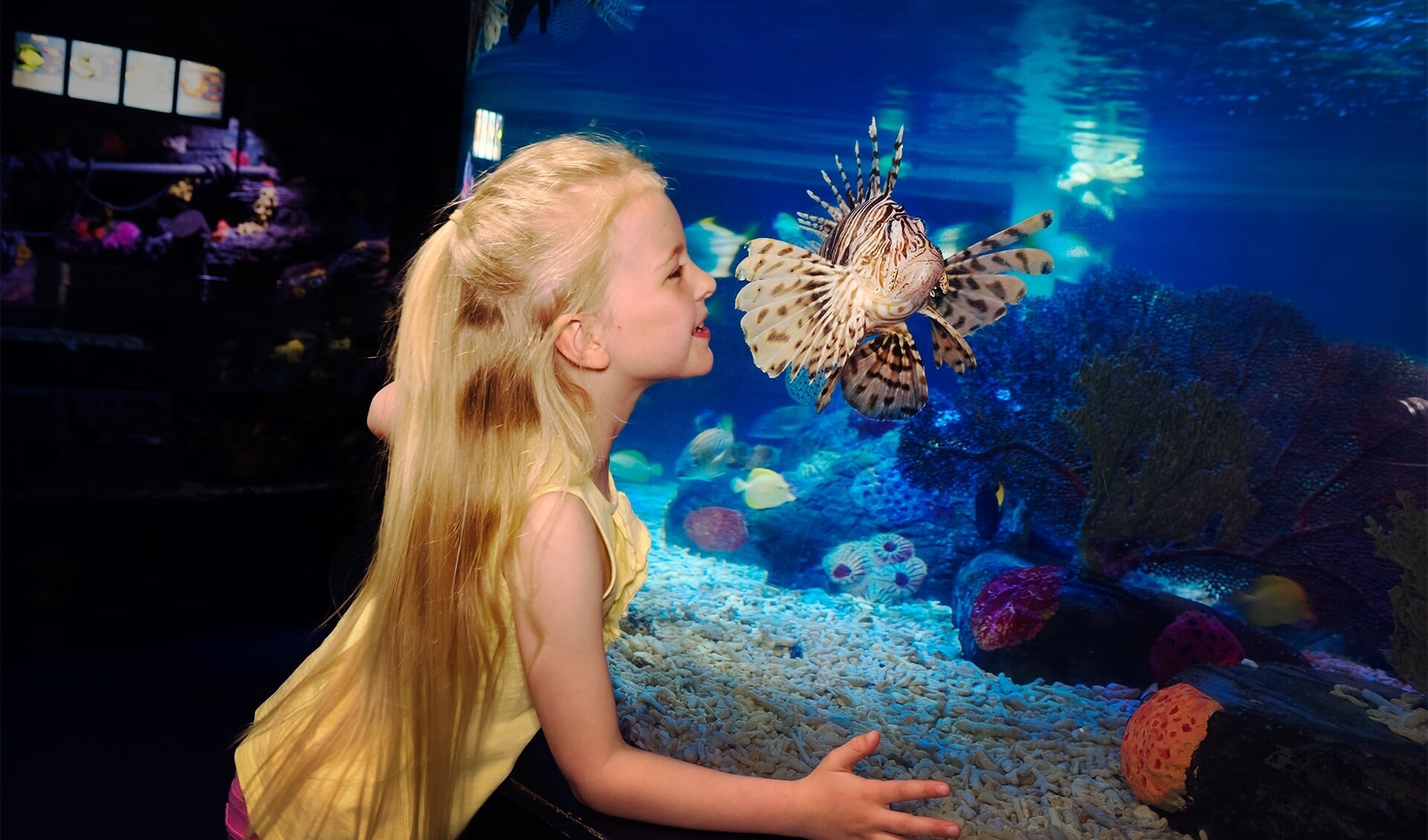 Het aquarium uitgebreid met een breed scala aan zeedieren van over de hele wereld. 