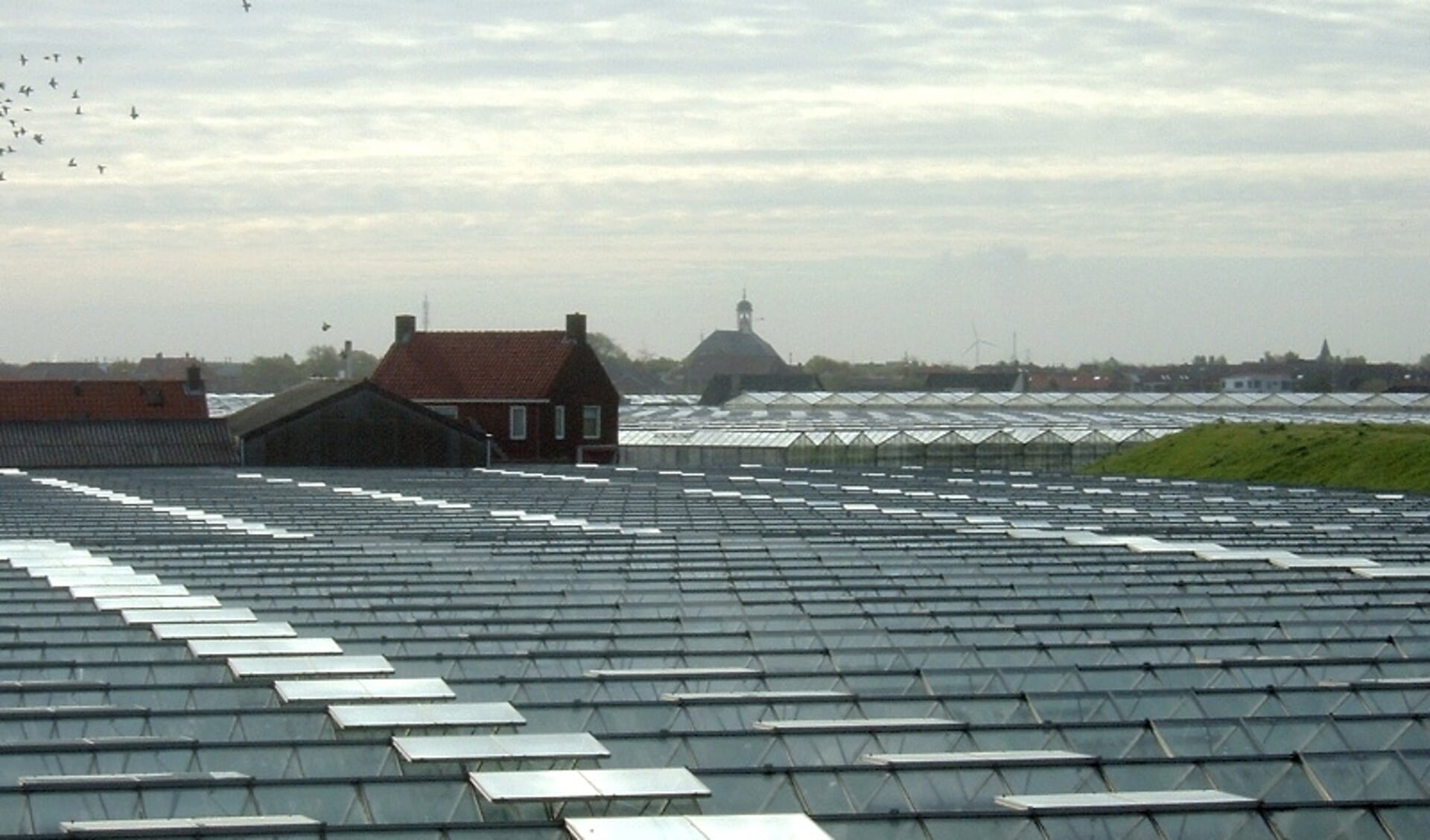 Blik vanaf de duinen over de kassen naar 's-Gravenzande.