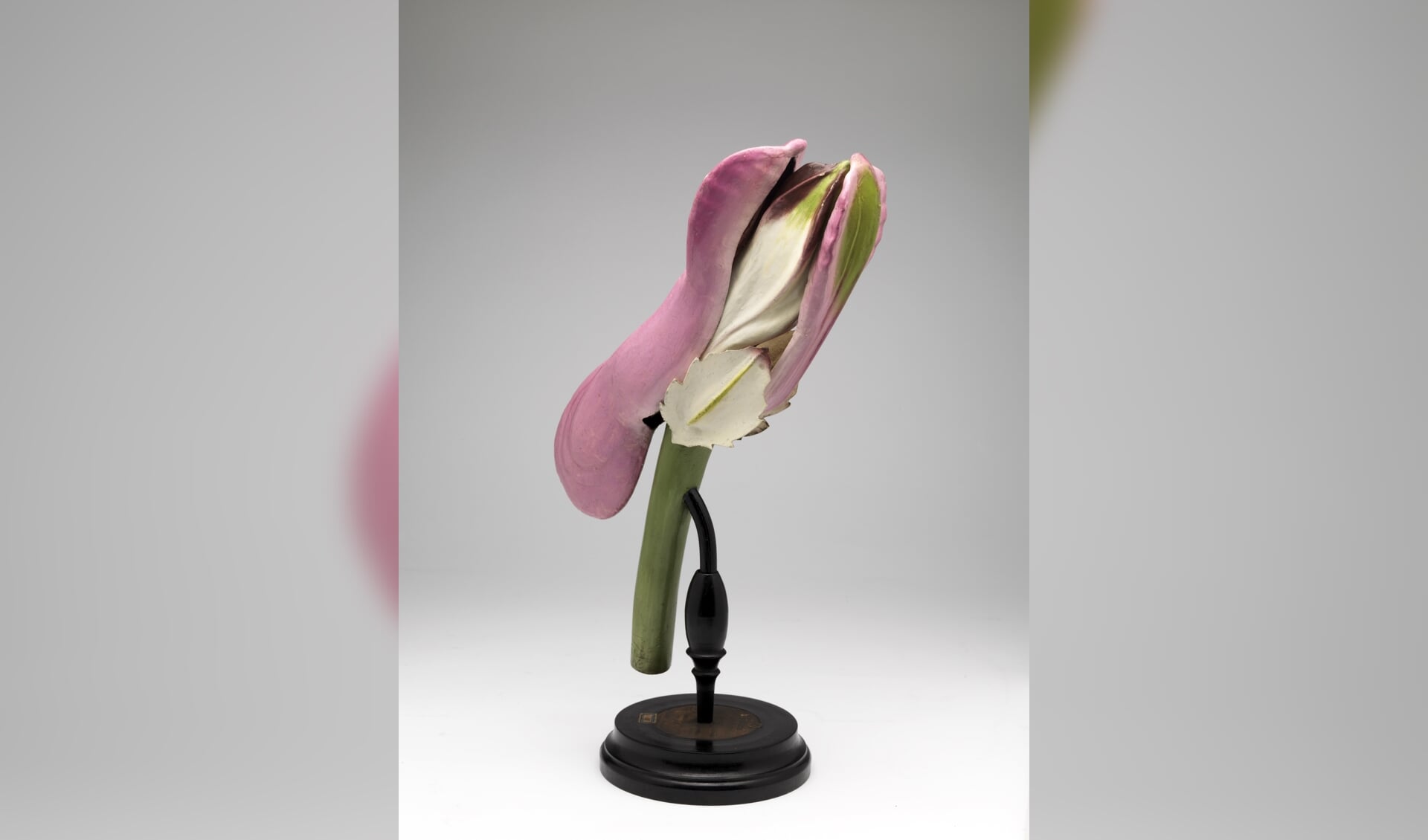 De 'bloemen' in de expositie zijn sterk uitvergrote 3D-modellen van ongeveer 40 cm.