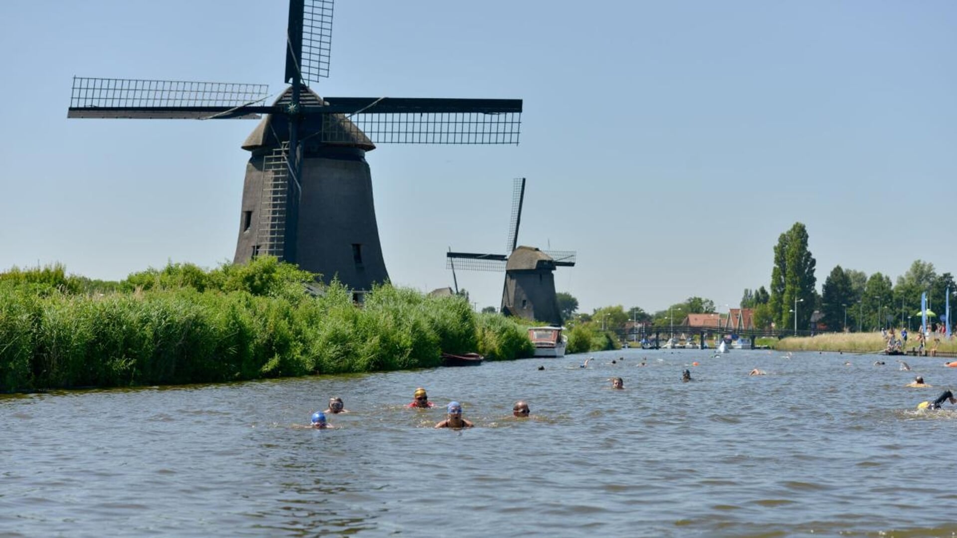 Zwemmen in het open water langs karakteristieke plekken in Alkmaar.