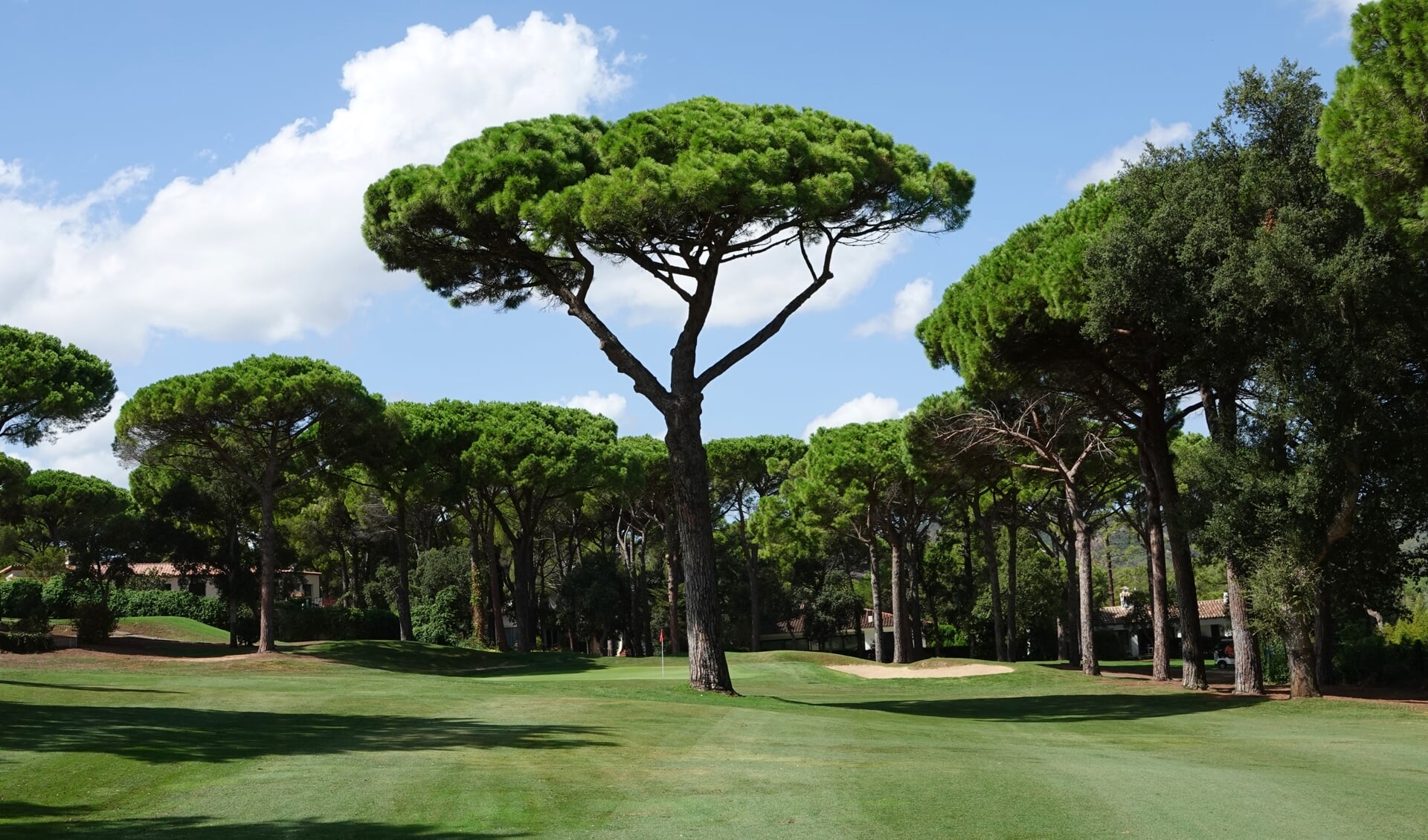 Golf Costa Brava is met al z'n typerende bomen even fraai als lastig. (Foto NGM / Eric Korver)