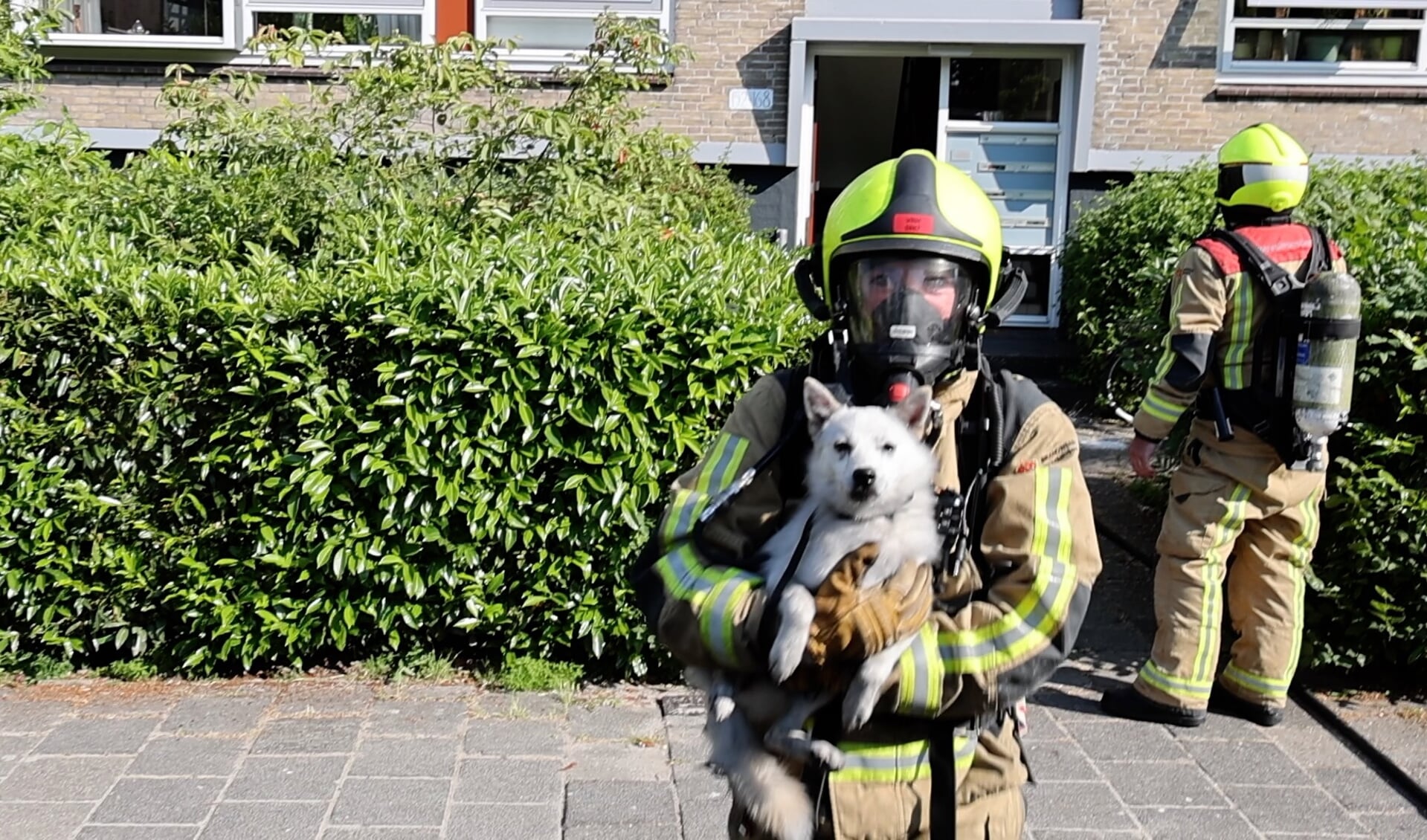 Dieren uit huis gered na brand Roggekamp