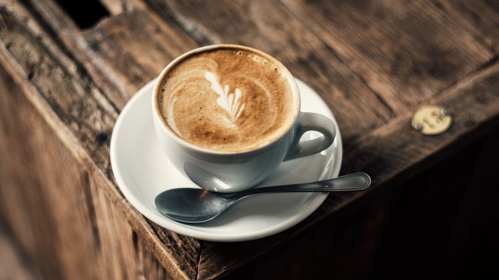 Elke laatste donderdag van de maand organiseert Seniorenraad Stede Broec een bijeenkomst om gezamenlijk koffie te drinken bij Pampus.