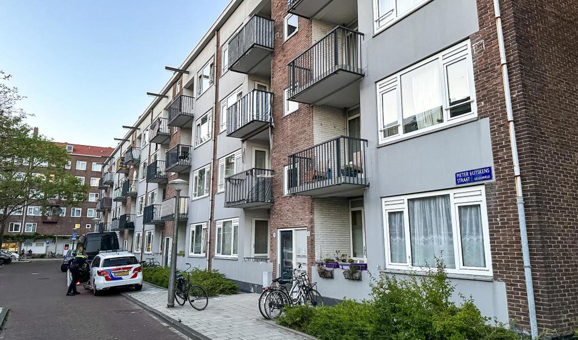Afbeelding