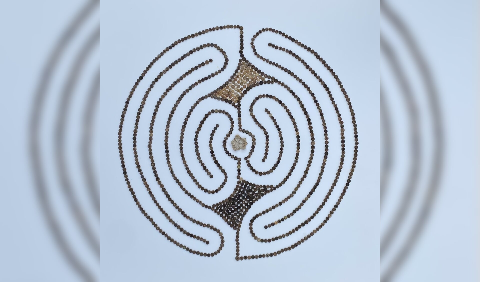 Aquarius-labyrint