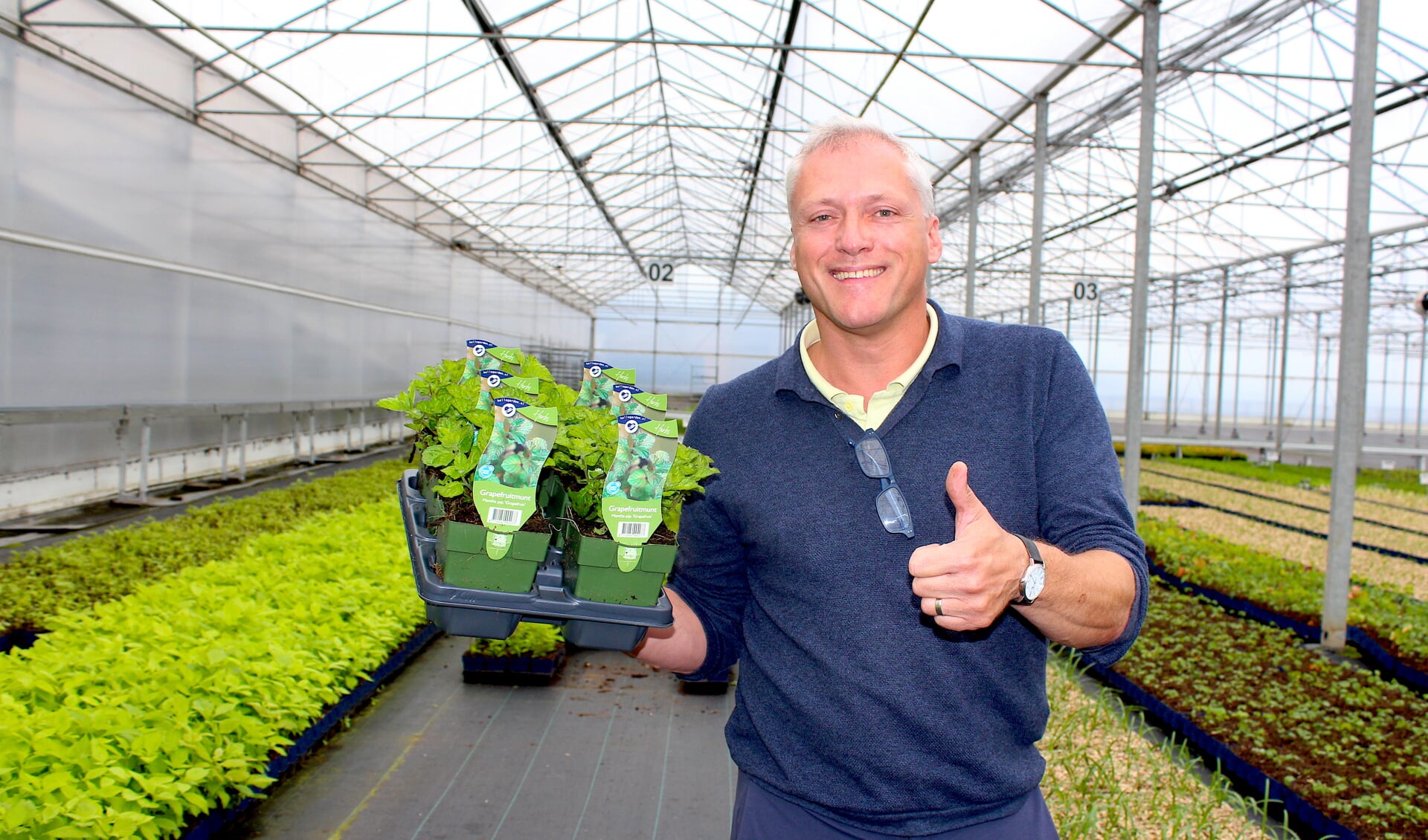 Stefan Verbunt van Griffioen Wassenaar met verse theeplanten: het bedrijf is in de race voor een Green Retail Award.