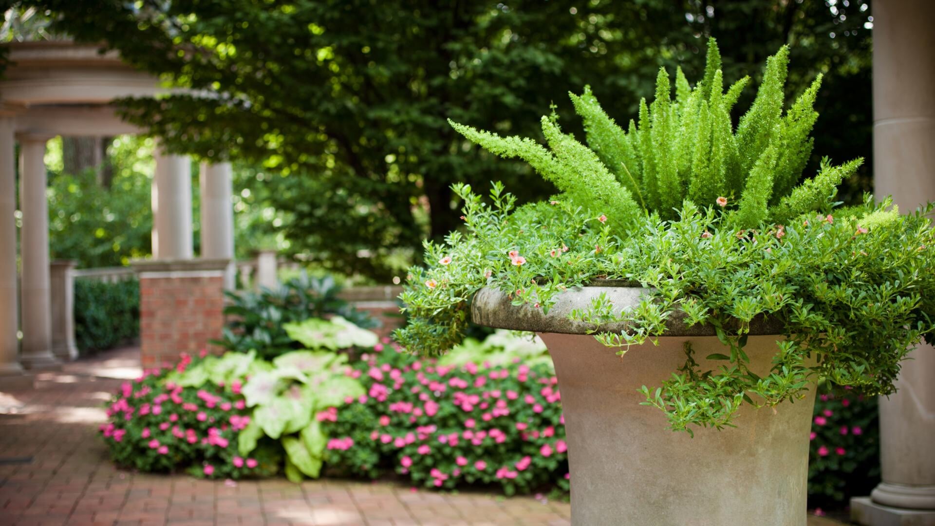 Geef je achtertuin een botanische look met déze tips!