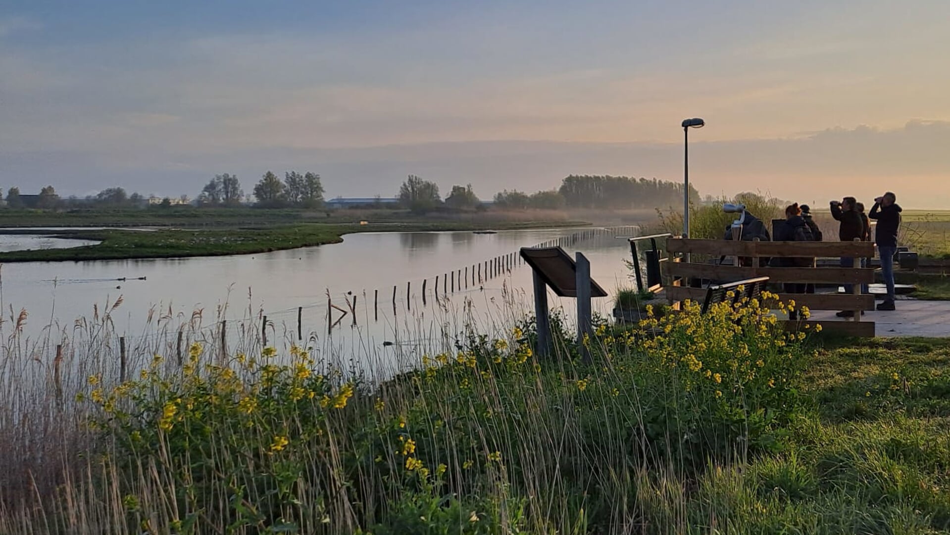 Volgens het 25 augustus gepubliceerde rapport van Natuur en Milieu komt de vervuiling van het water in Het Kraaiennest vooral door glastuinbouwbedrijven.