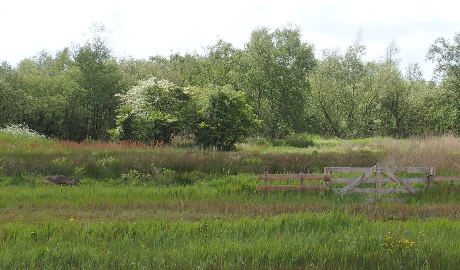 Batterij en Spaarnwouderveen.