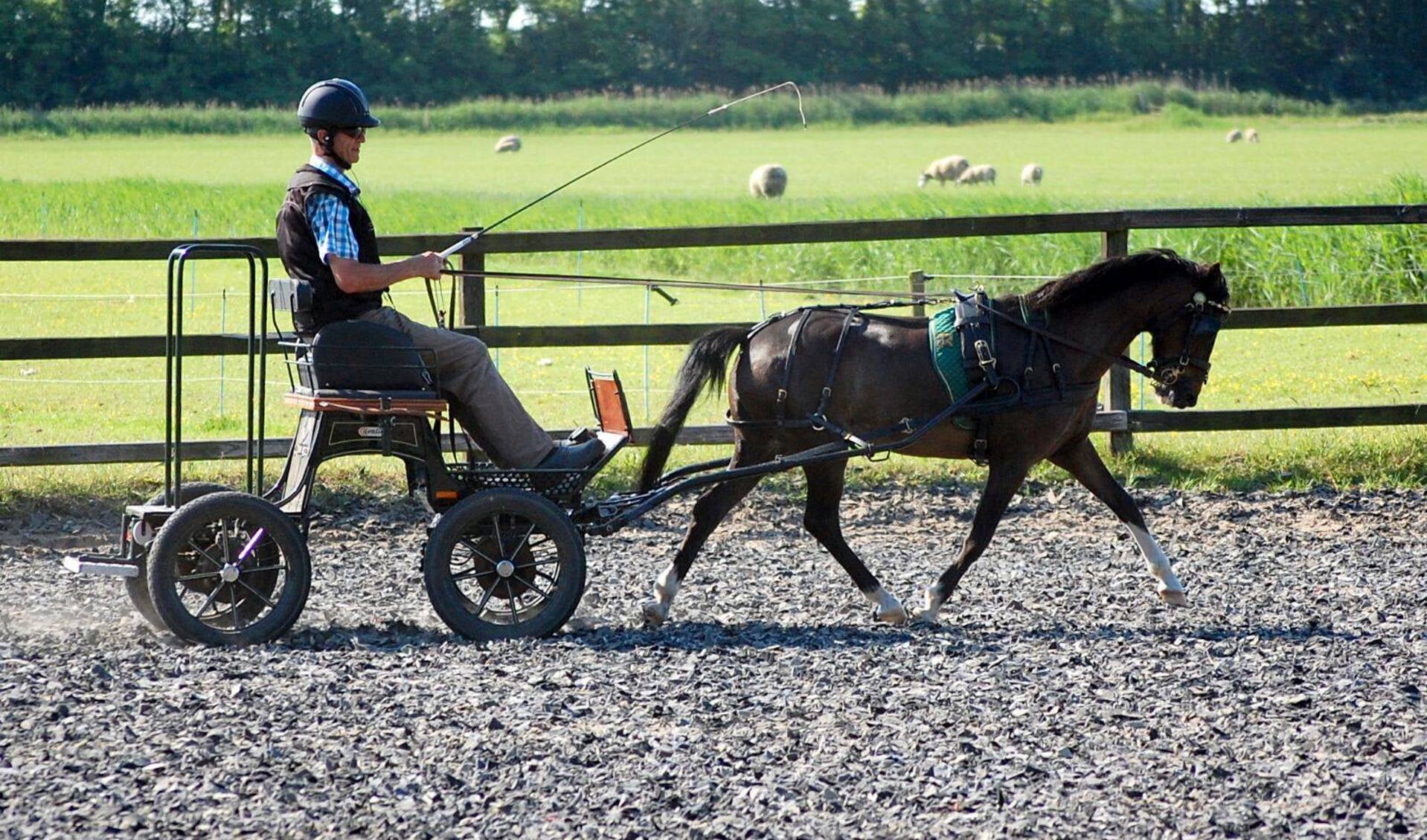 Hou je van paarden, dan mag je dit evenement zeker niet missen.