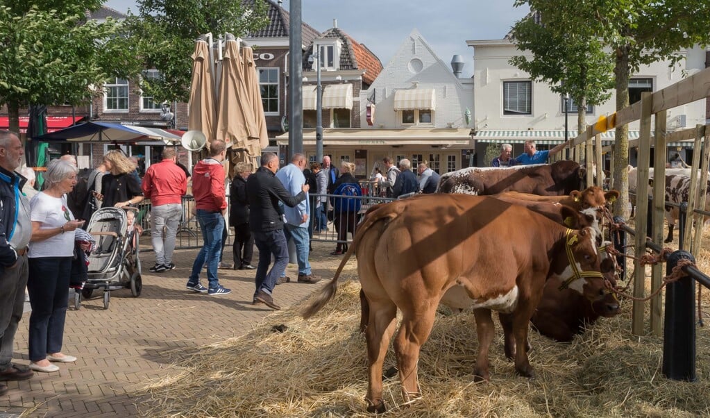 Bluetongue Virus Outbreak Forces Cancellation of Livestock Exhibition at Late Summer Festival Week