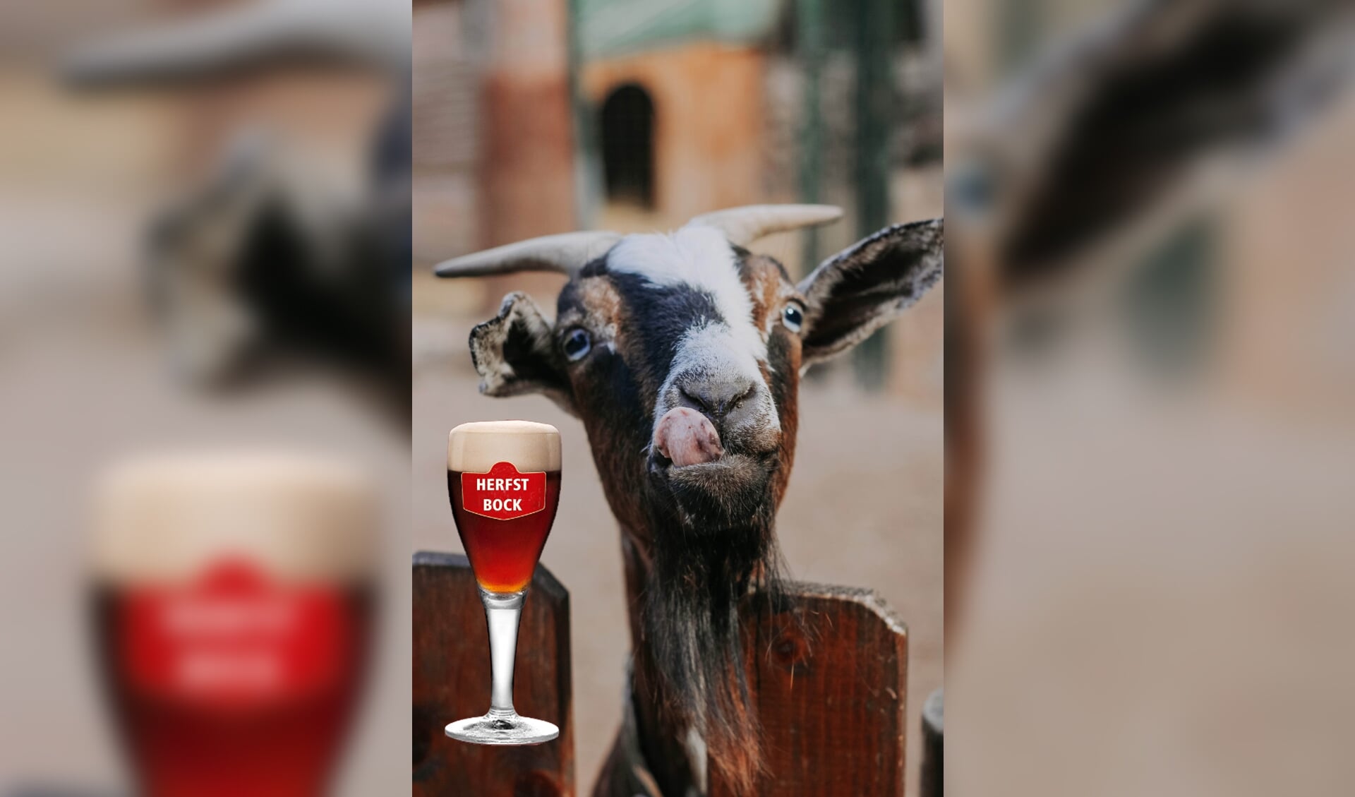 Je likt je lippen ervoor af: bokbier!