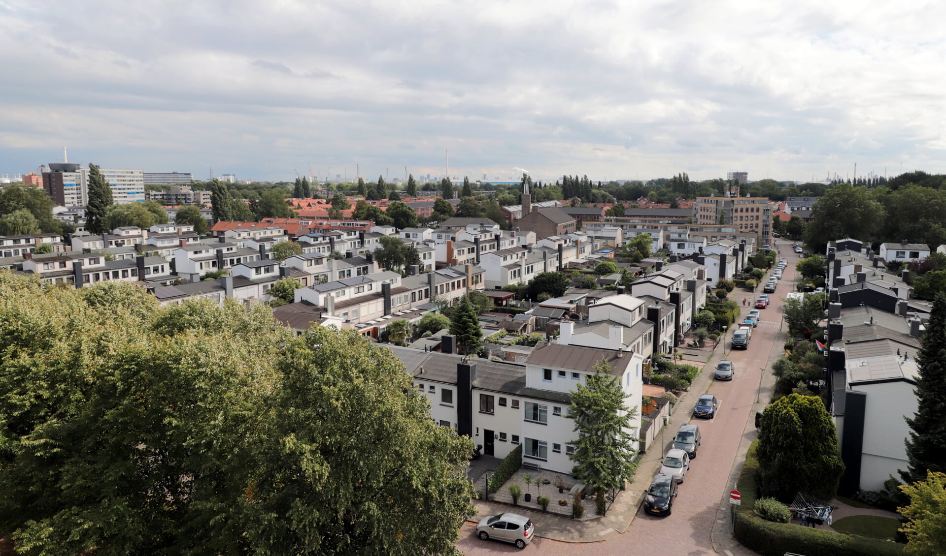 Taalsafari Oost Indisch Doof Zijn Al Het Nieuws Uit Vlaardingen