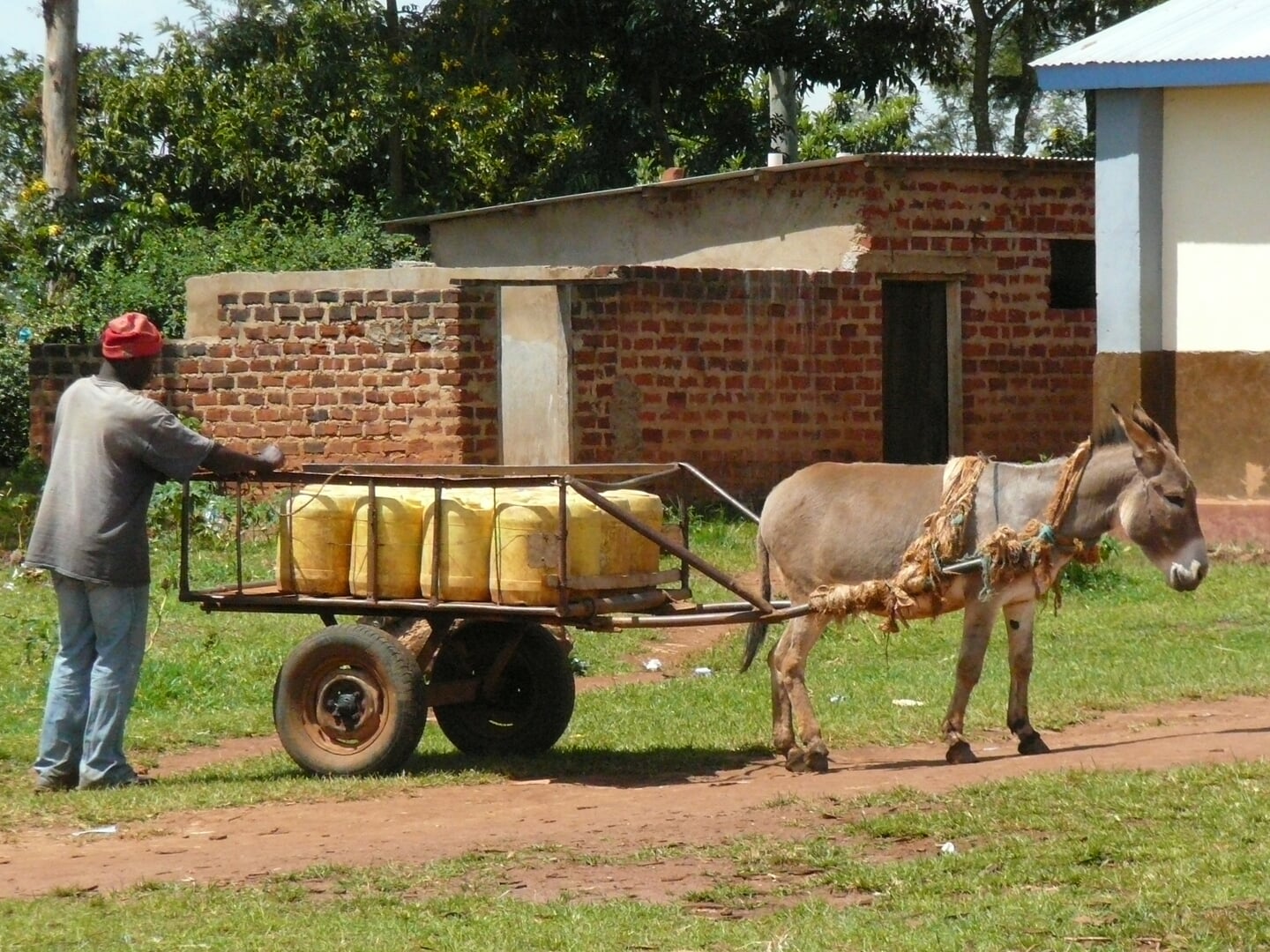 Naar de school kon alleen water via een ezel geleverd worden.