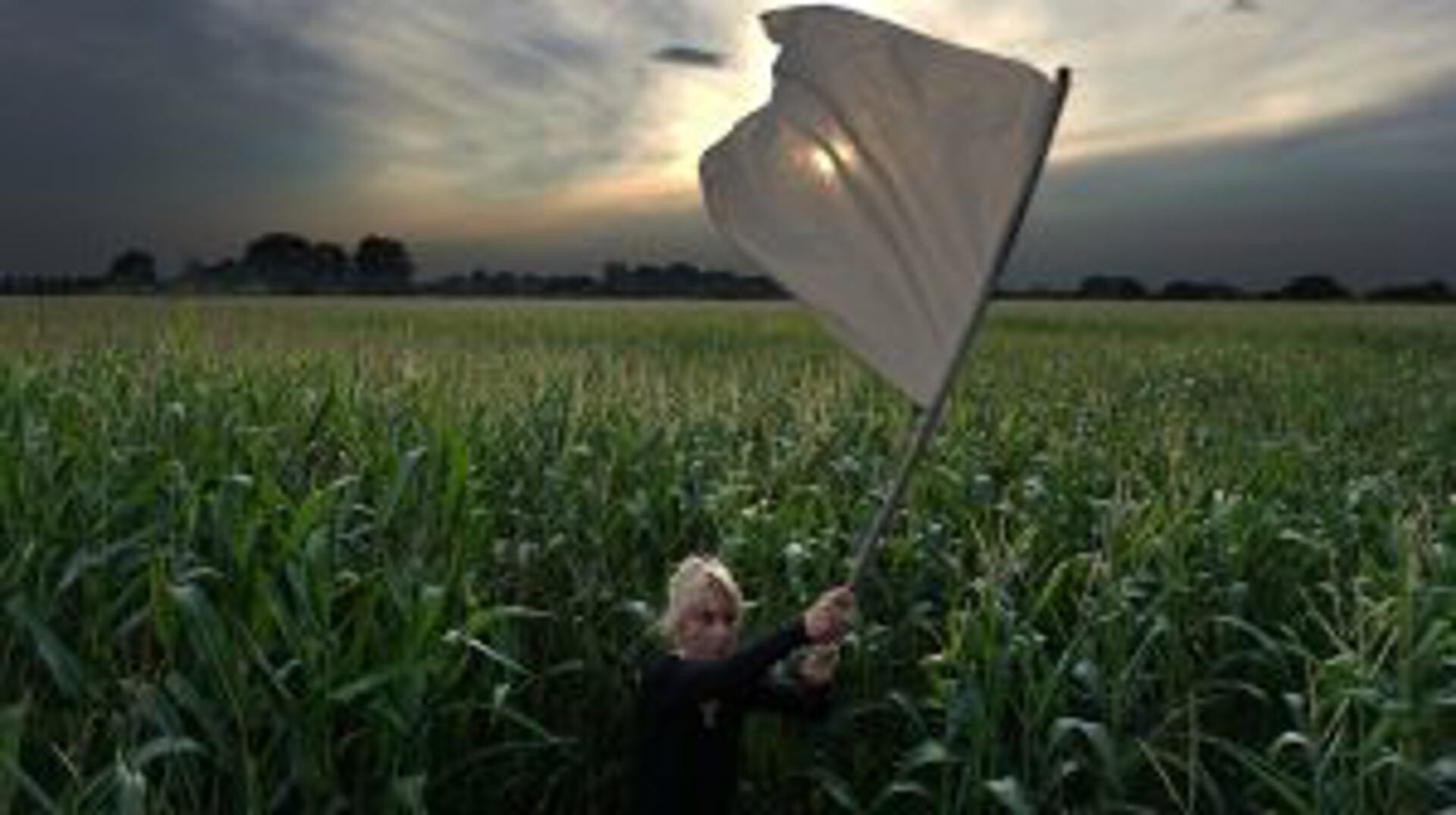 In een spontane performance stak kunstenares Karin van der Molen vorig jaar een witte vlag op 