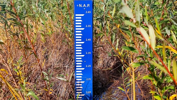 Afsluitingen in Vlaardingen door hoogwater