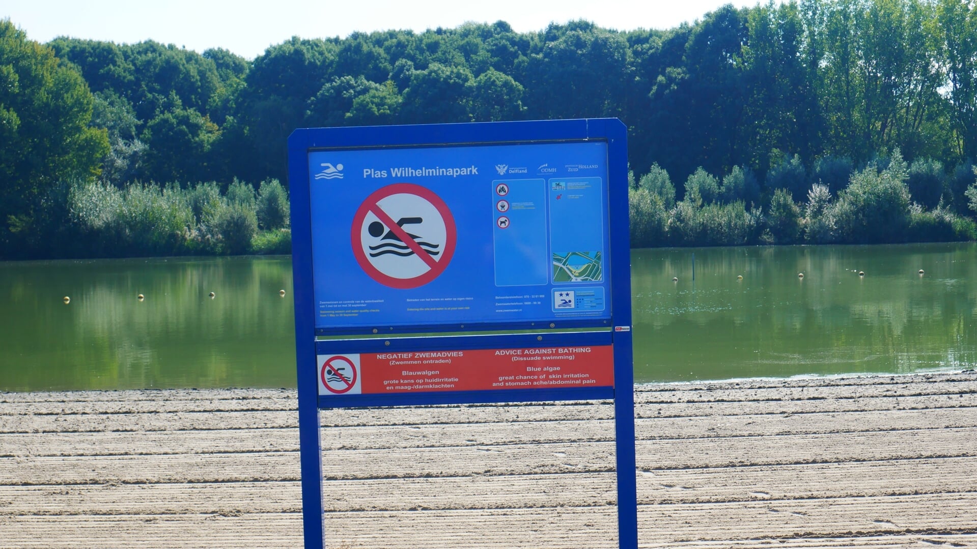 De plas in het Wilhelminapark wordt, net als in 2016, drooggelegd om blauwalg tegen te gaan.