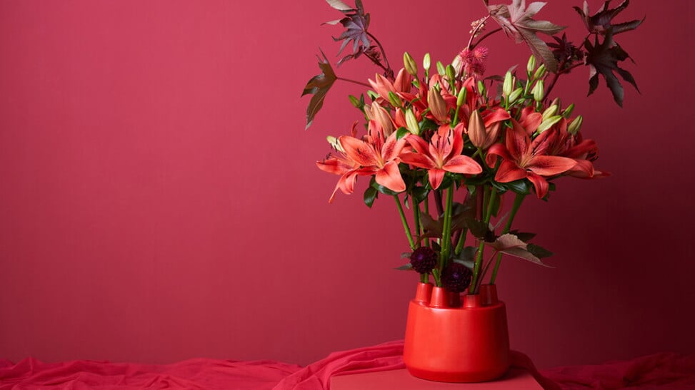 Hoe leuk is het om jouw geliefde (of jezelf) te verrassen met mooie bloemen?