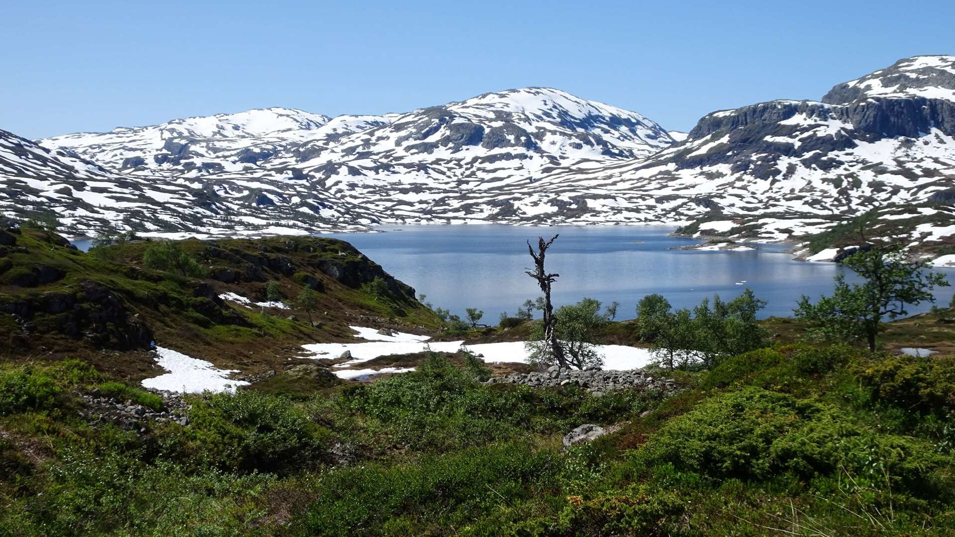 Dunbevolkt Noorwegen heeft prachtige, ruige natuur.