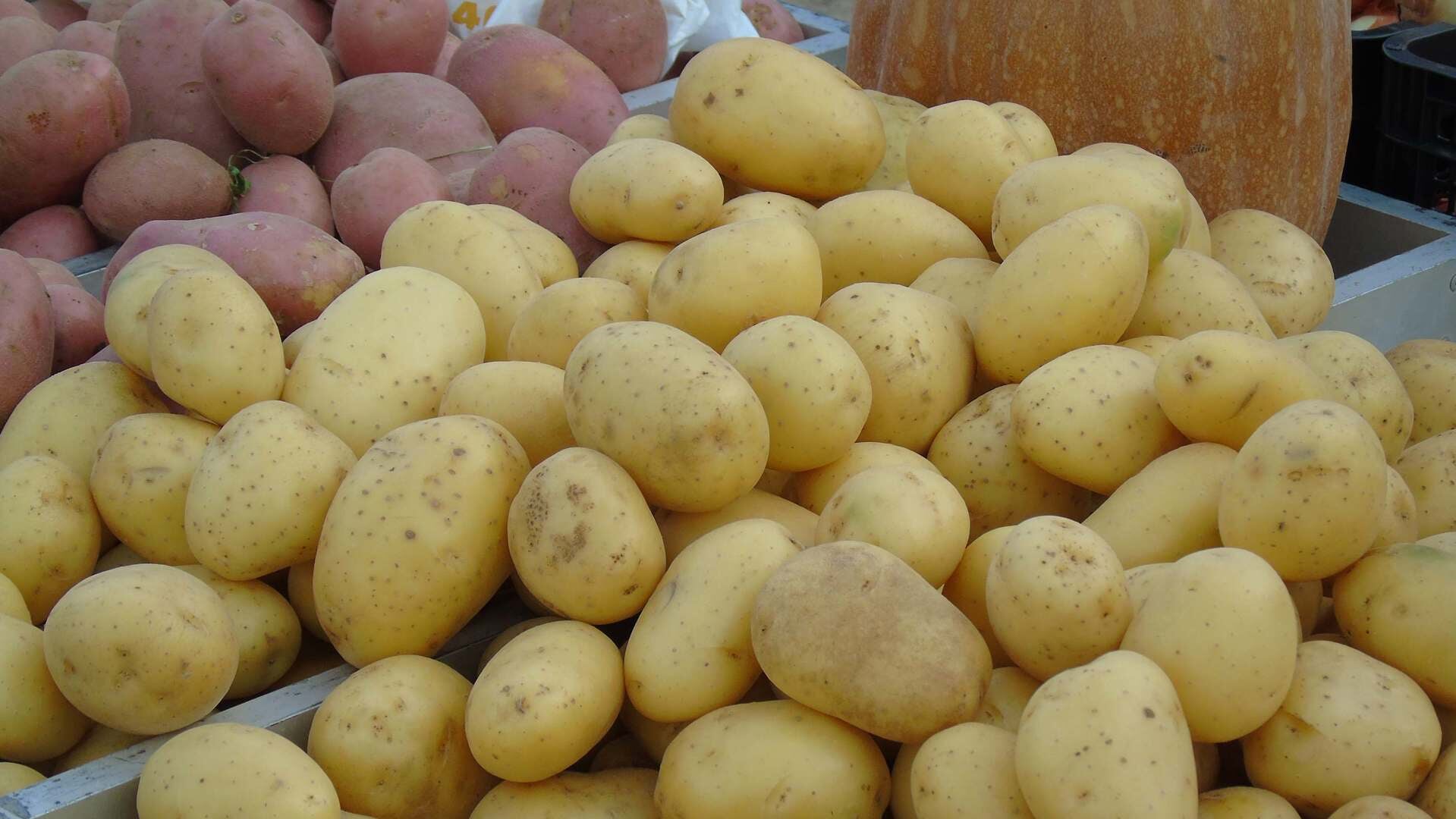 Groei en Bloei organiseert woensdag 28 februari een lezing over aardappelen.