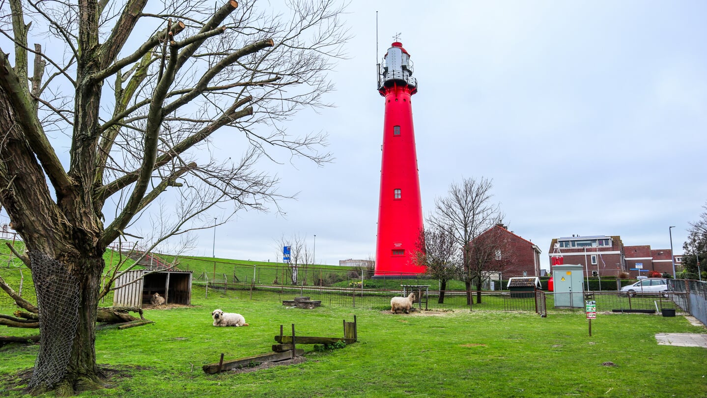 Hoekse kinderboerderij