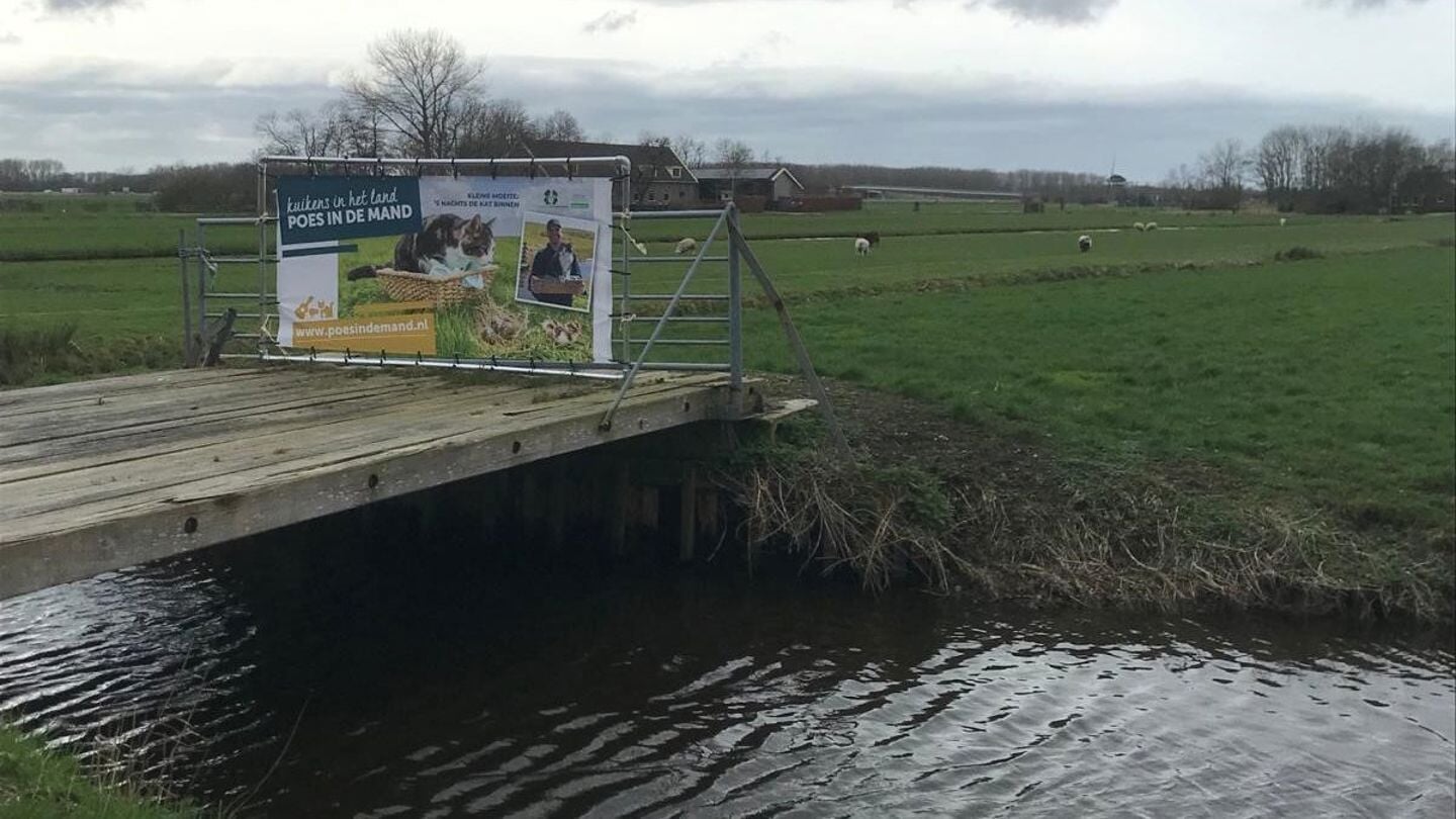 Campagne 'Kuikens in het land, poes in de mand' 