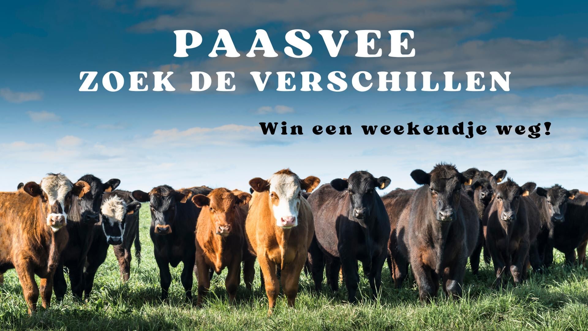 WIN: zoek de verschillen Paasvee-editie en win een weekendje weg!