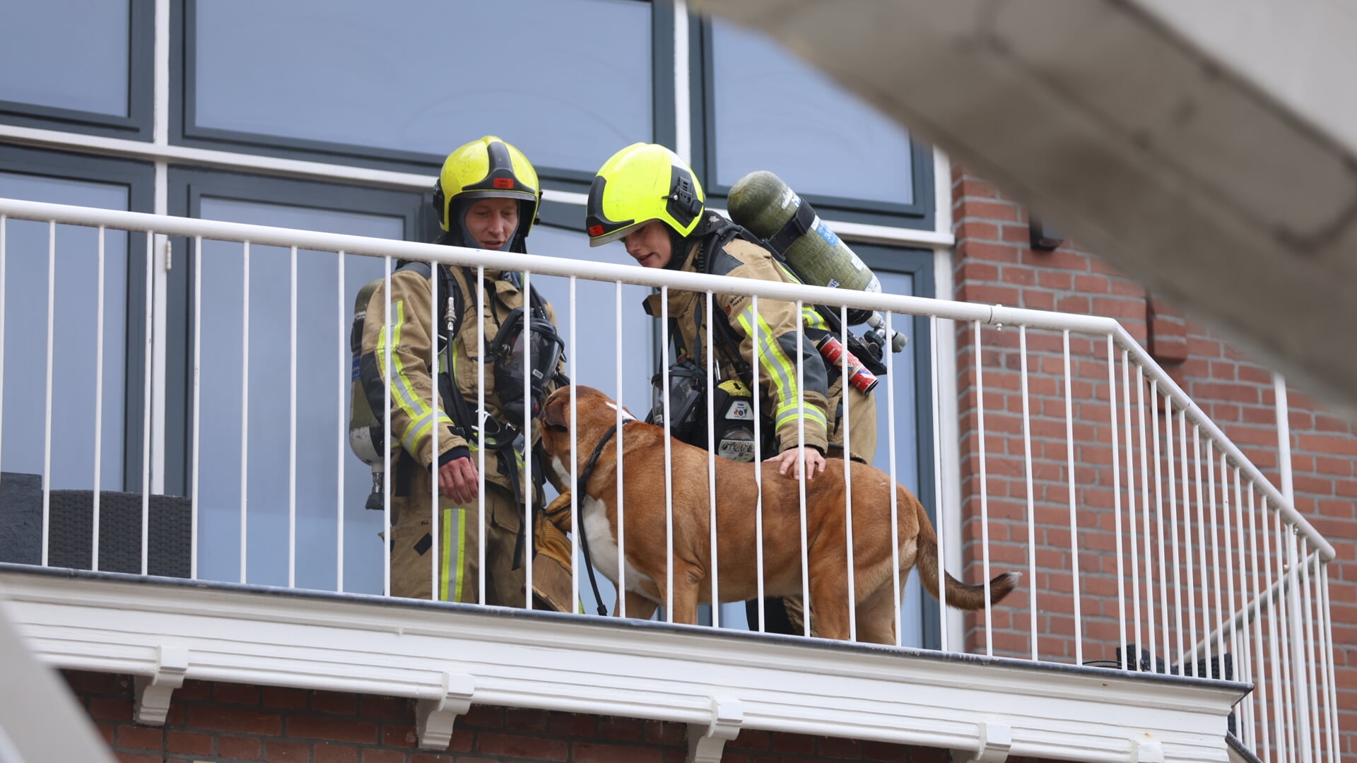 Hond uit woning gered bij brand Valkenboslaan