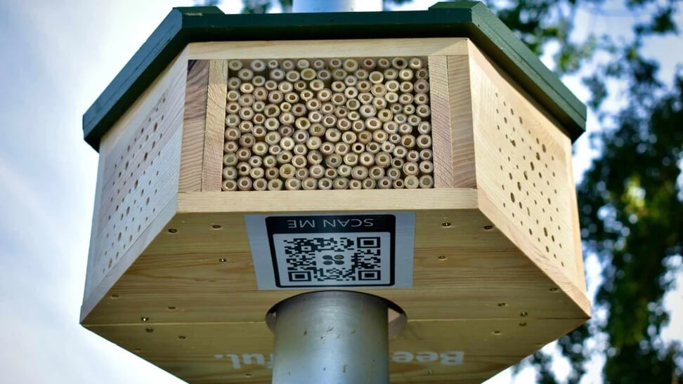 Je kunt het bijenhotel scannen met je telefoon.