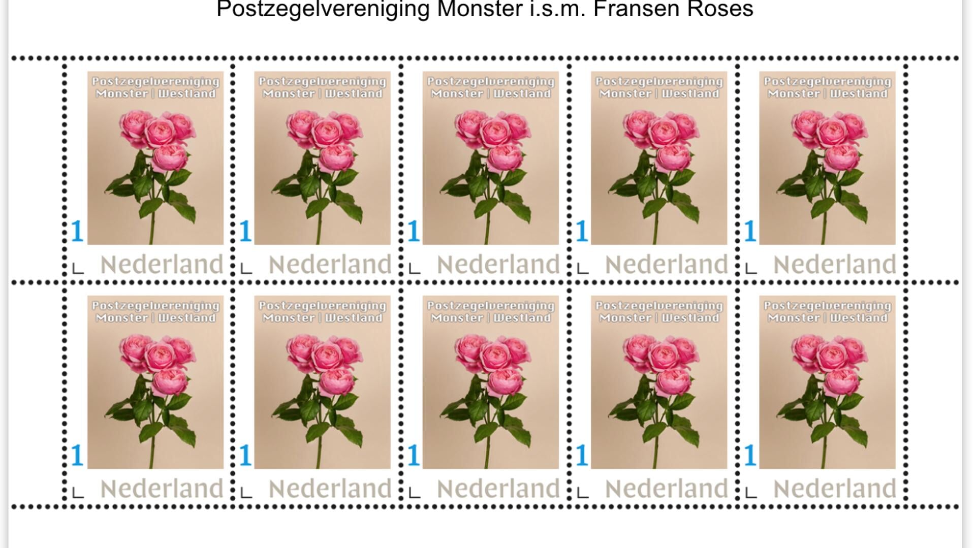  De jongste roos in de serie Westlands Mooiste postzegels, de trosroos Silva Pink.