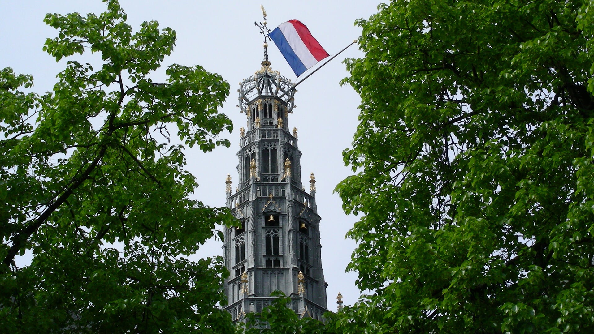 Sint Bavokerk in Haarlem op 4 mei.