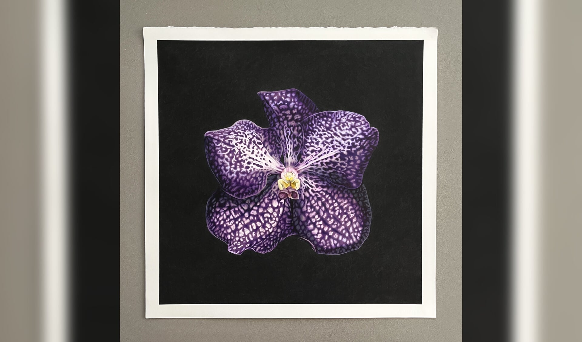 Potloodtekening van een paarse orchidee van Christy Heuchermer.