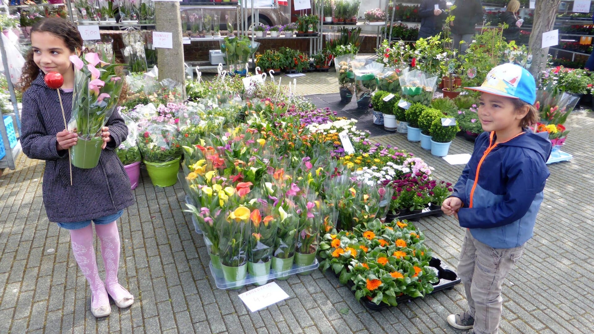 De plantenmarkt op het Plein vindt elk jaar plaats.