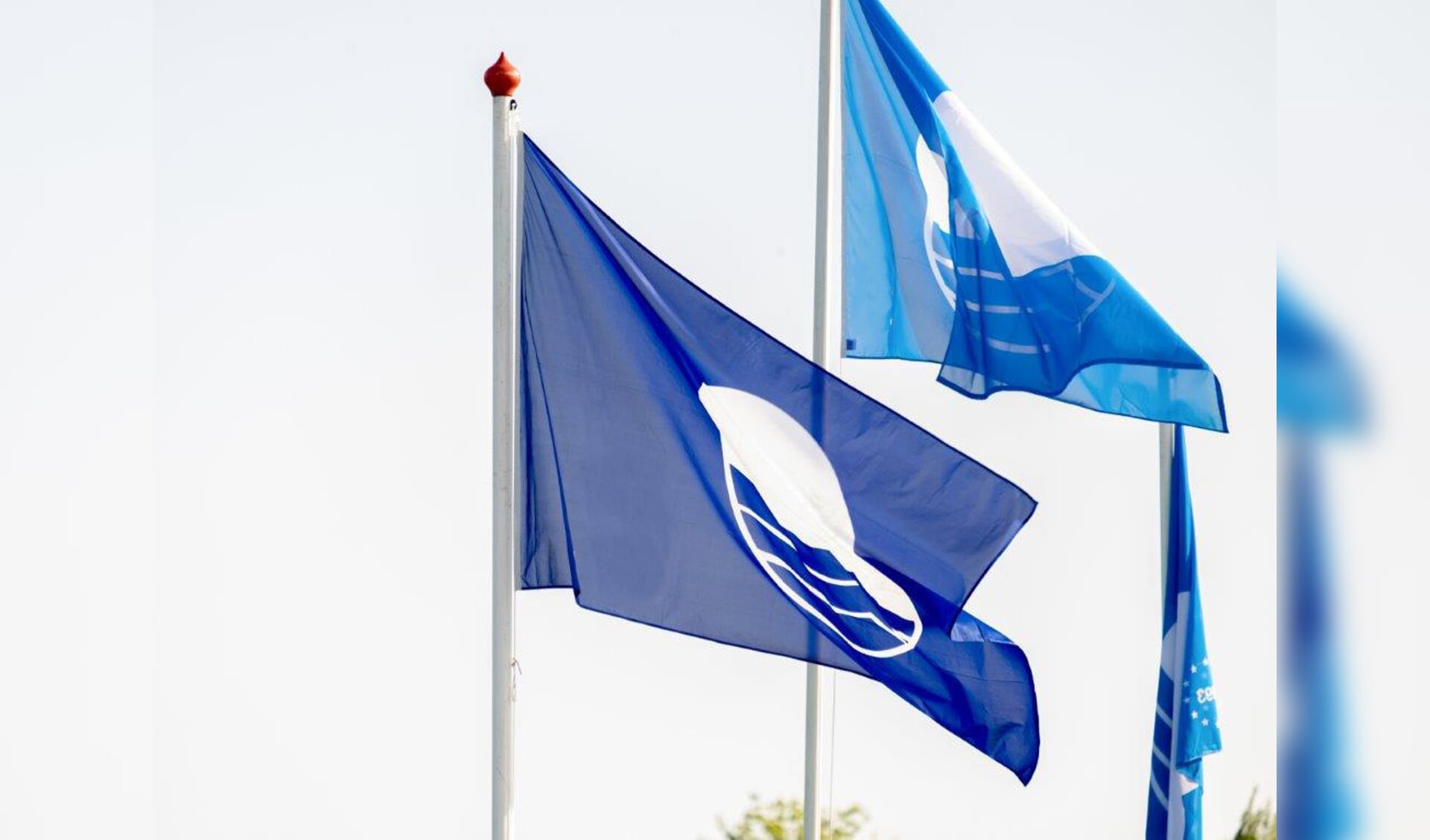 De blauwe vlag is opnieuw gehesen op het strand van Castricum.