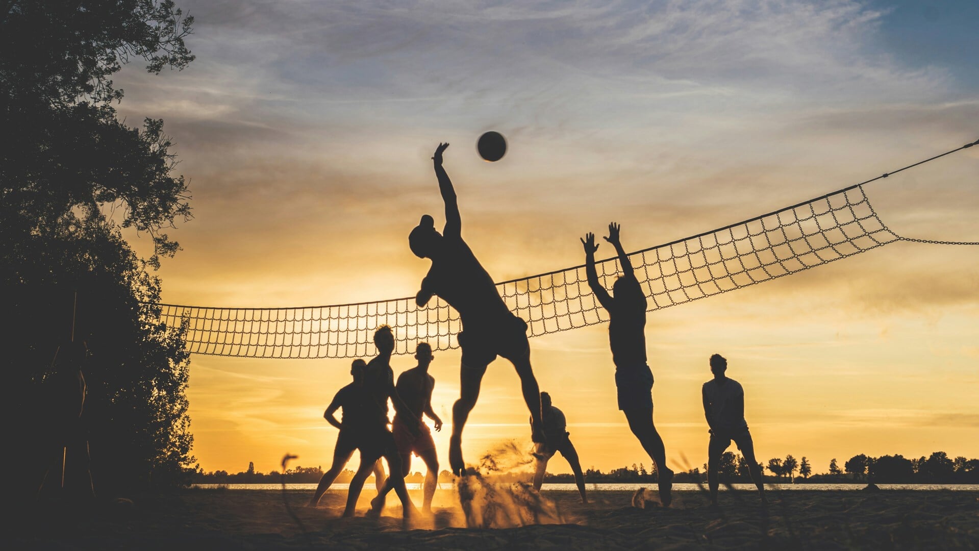 Op vier avonden in juni kunnen Zaankanters komen volleyballen. 