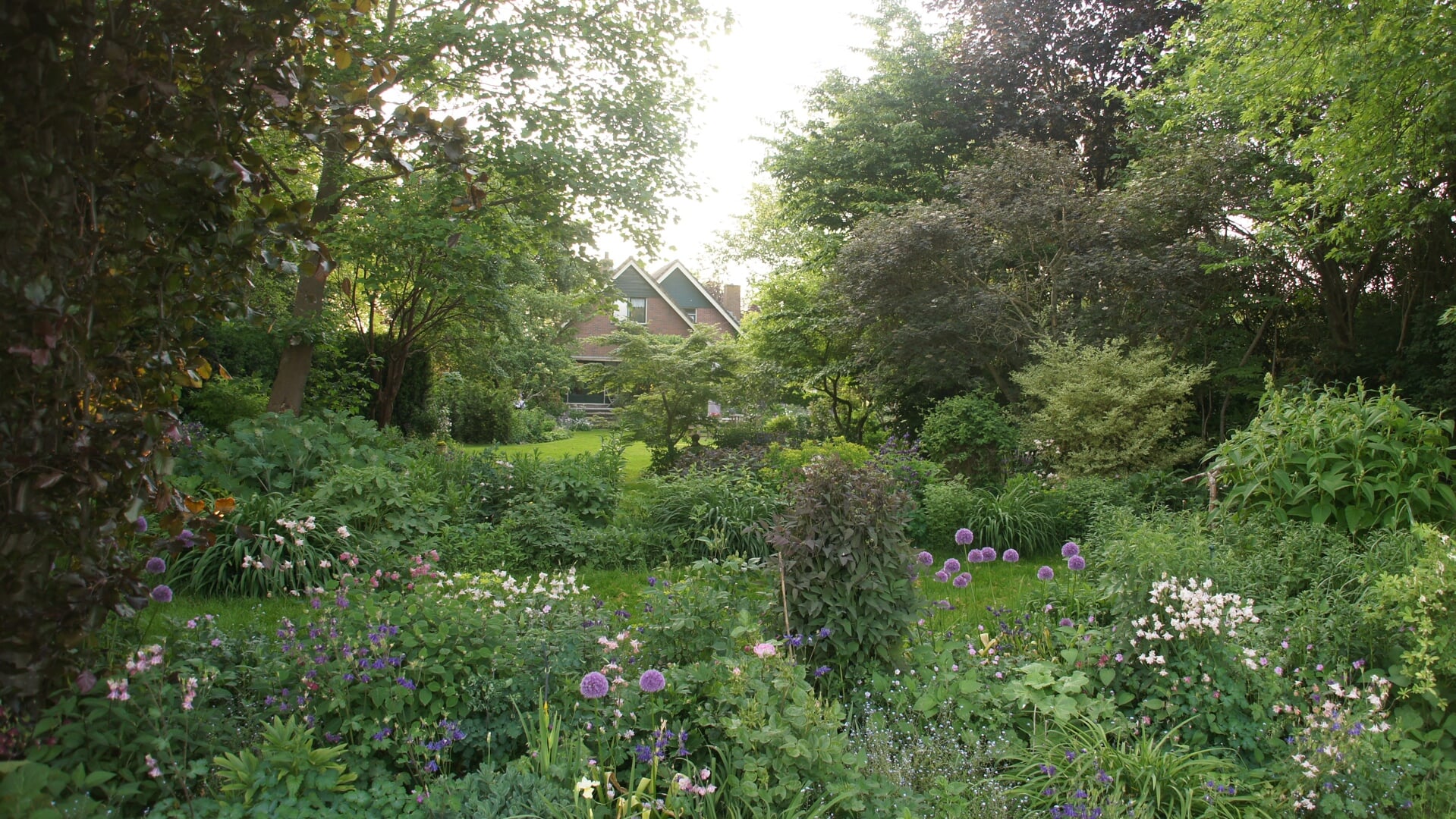 De tuin van de familie Neefjes in Wervershoof.
