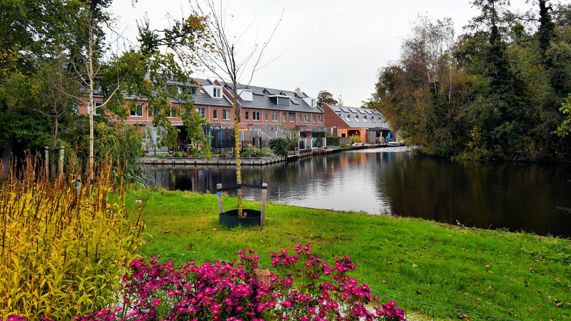 Al wandelend de mooiste plekjes in Krommenie ontdekken.  