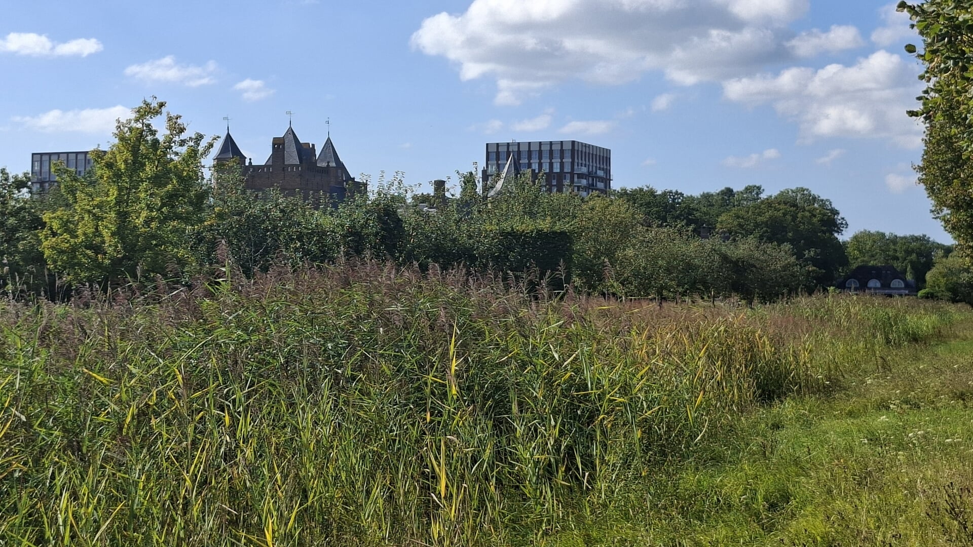 De 1,5 uur durende tocht voert langs Kasteel Assumburg, 