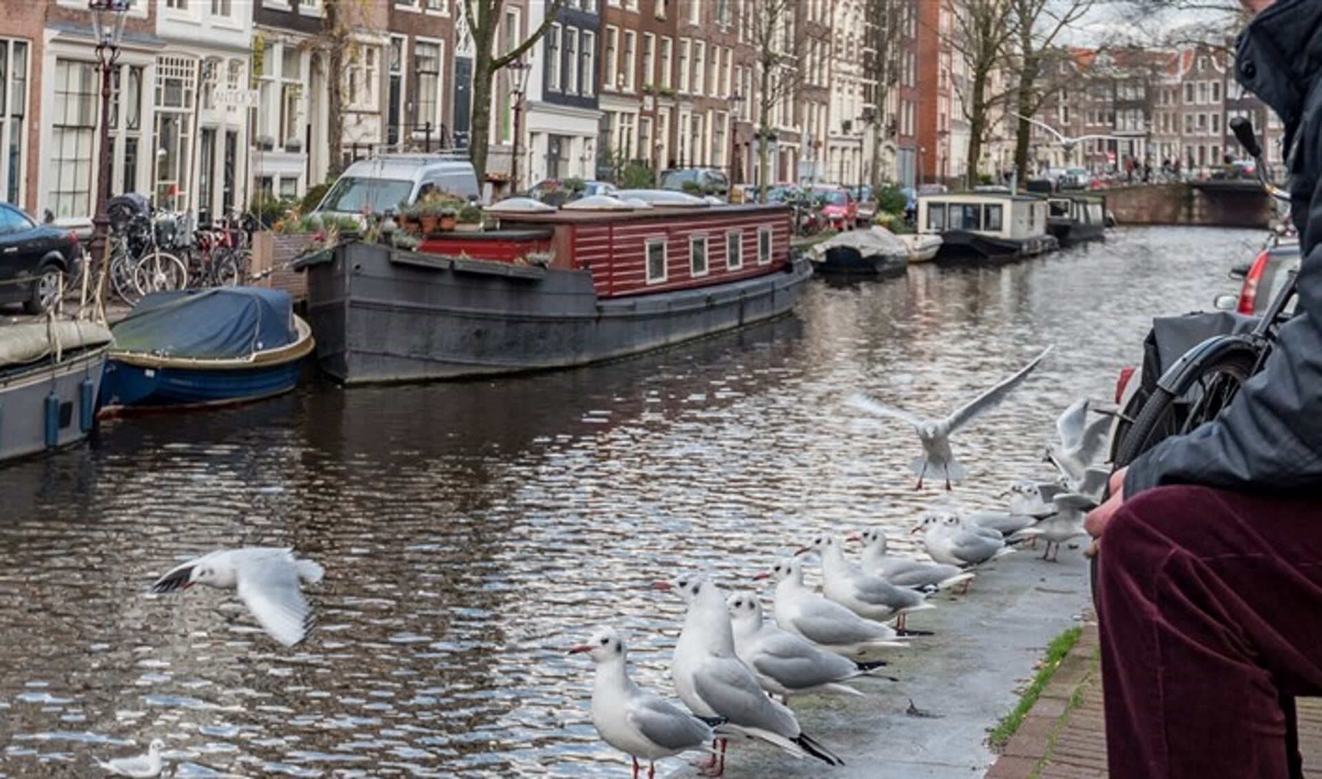 Ontdek ook waar de dieren wonen en zie hoe dichtbij de natuur is in de stad. (Foto: gemeente Amsterdam)