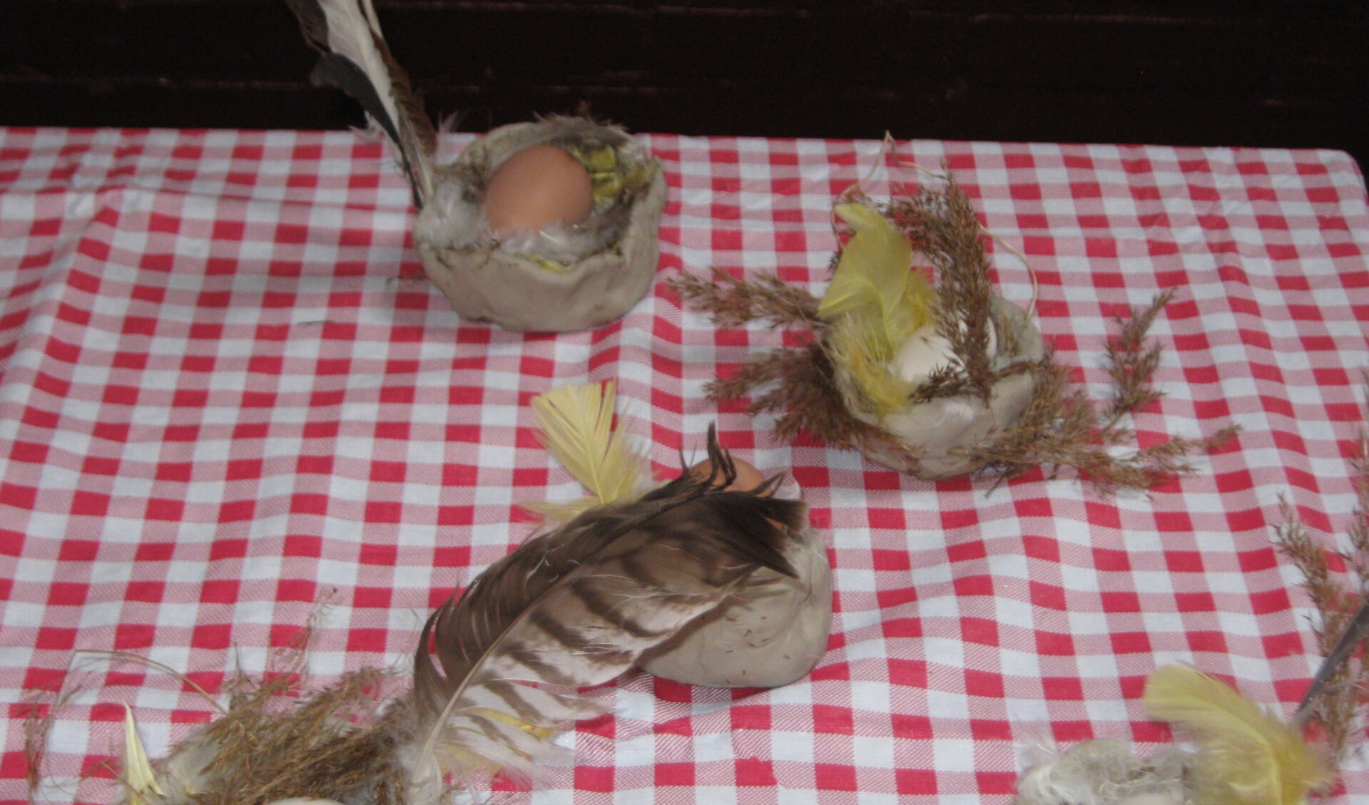 Kinderen leren veel over allerlei soorten eieren en zijn er proefjes over de kracht van een kippenei. (IVN Twiske)