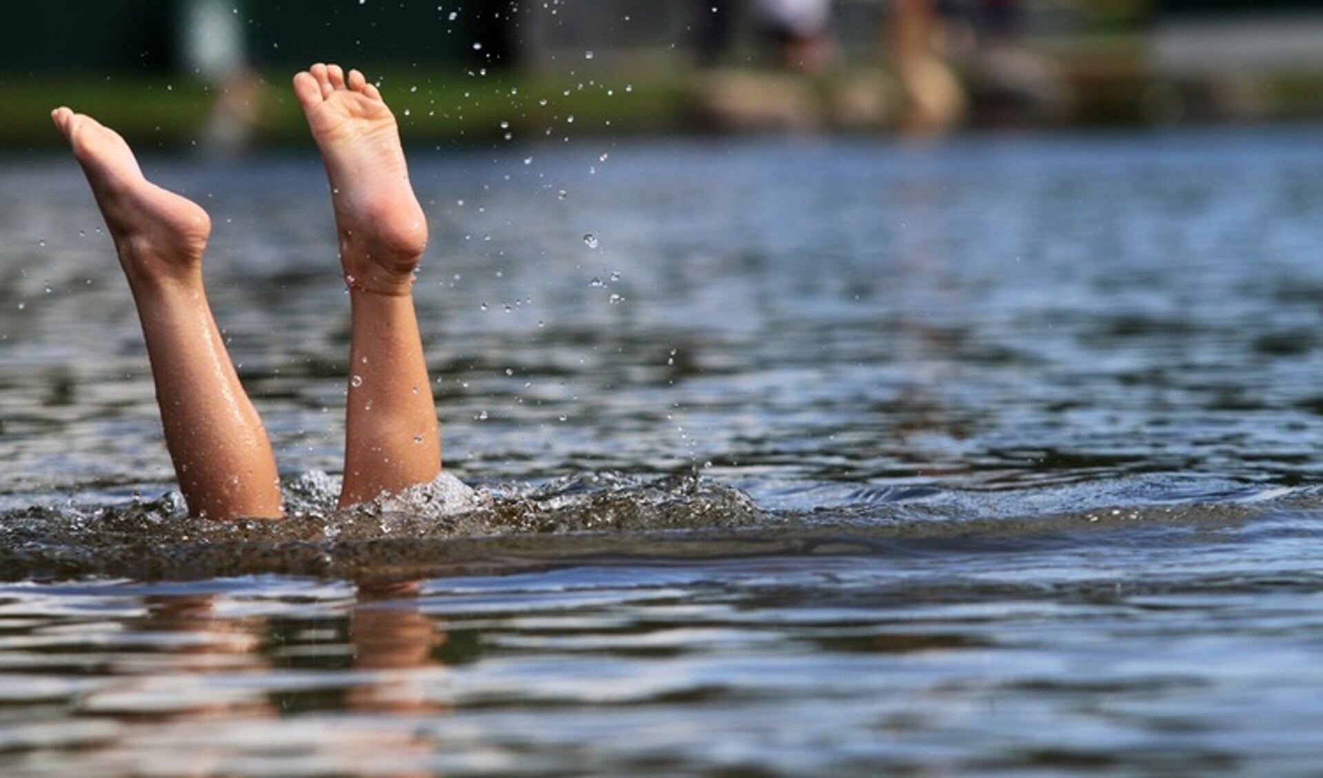 Er kan even niet meer gezwommen worden in Vooroever Andijk en Vooroever Koopmanspolder. (Foto: Shutterstock)