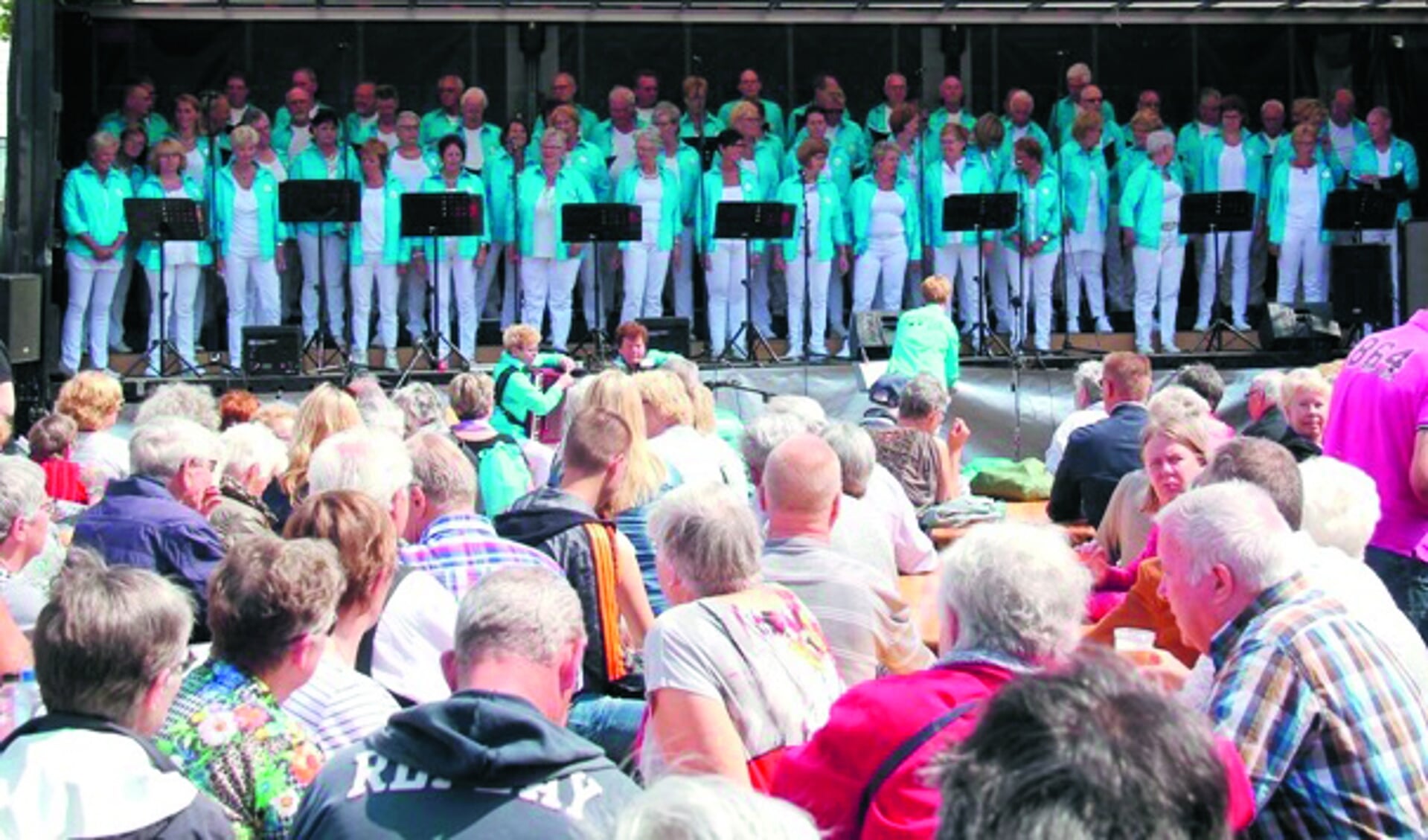 Ontroerend Goed koor tijdens het PleinFestijn 2017 in Wormerveer. (Foto: PleinFestijn)