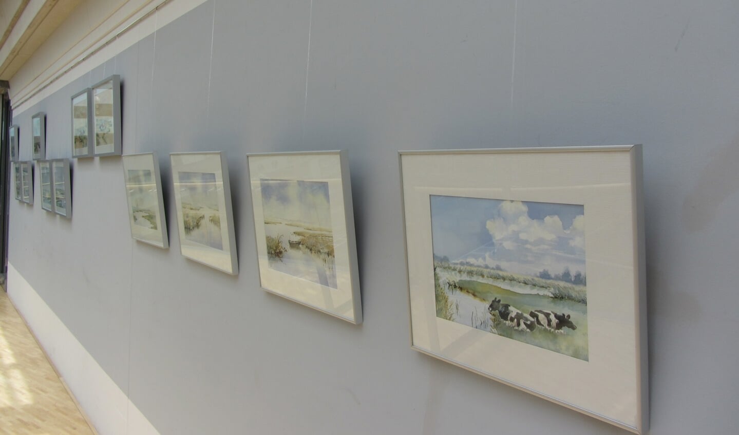 Jelle Bakker bij zijn bos. Koeien, de Ardeche en aquarellen van Jelle. (Foto's: JWvD)