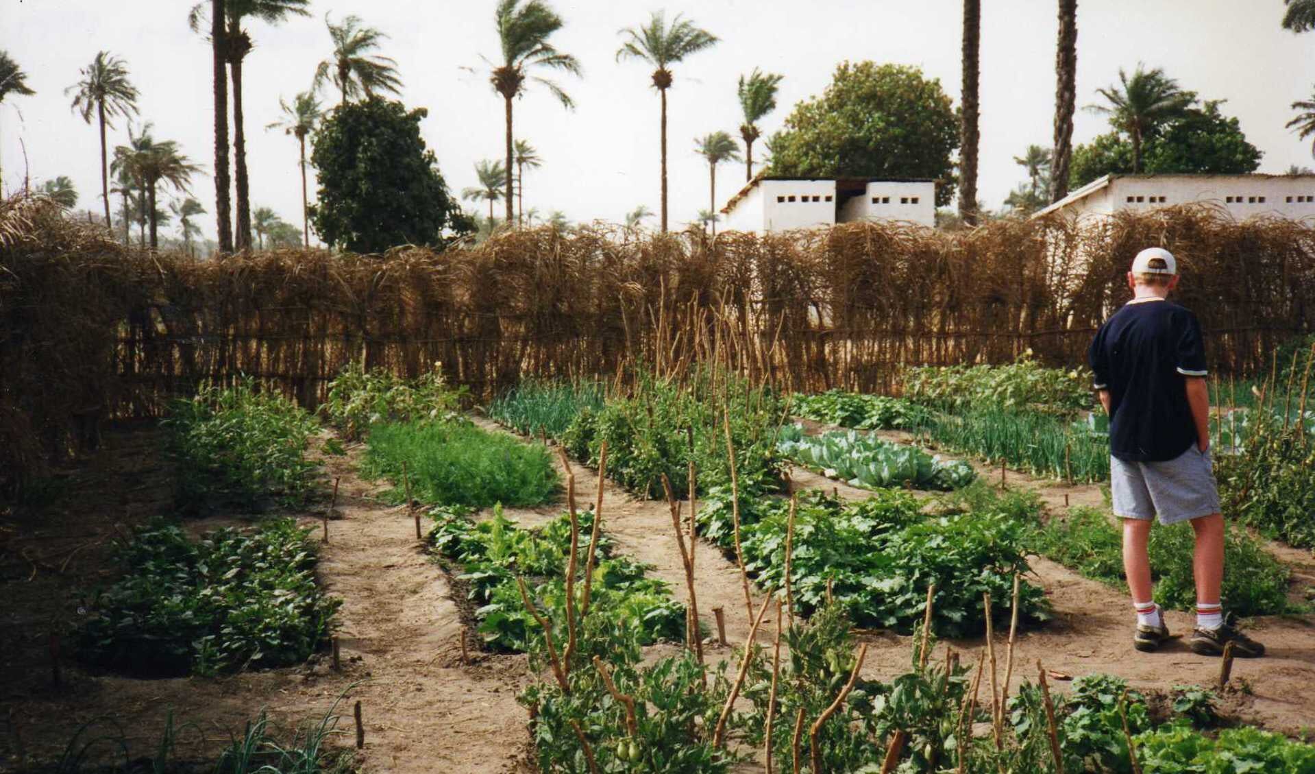 De Boca Loho Foundation zet zich in voor het tuinproject Brufut Garden in Gambia. (Foto: Boca Loho Foundation)
