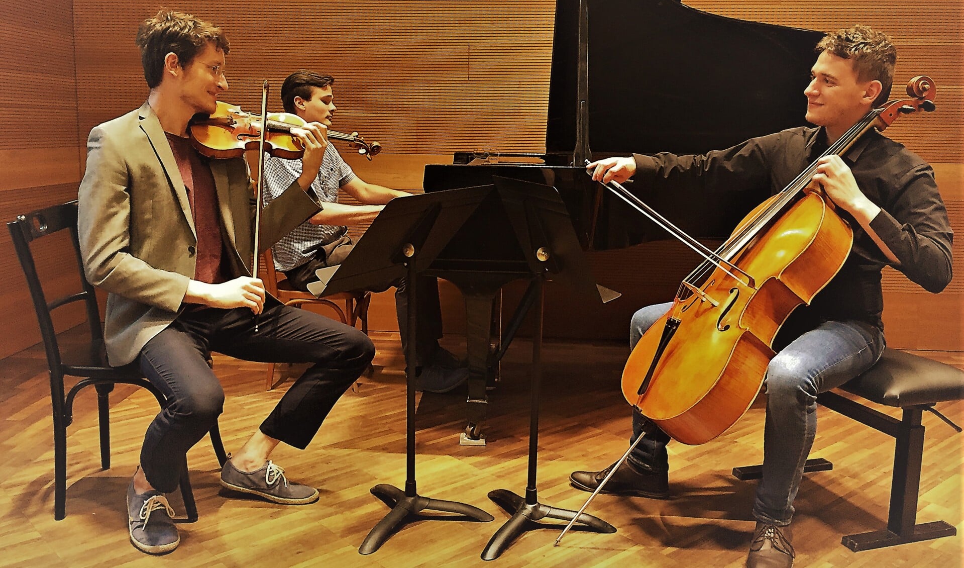 Het Pál Hermann Ensemble uit Hongarije betovert het publiek met onder meer een klassiek muziekstuk van Mozart. (aangeleverde foto)