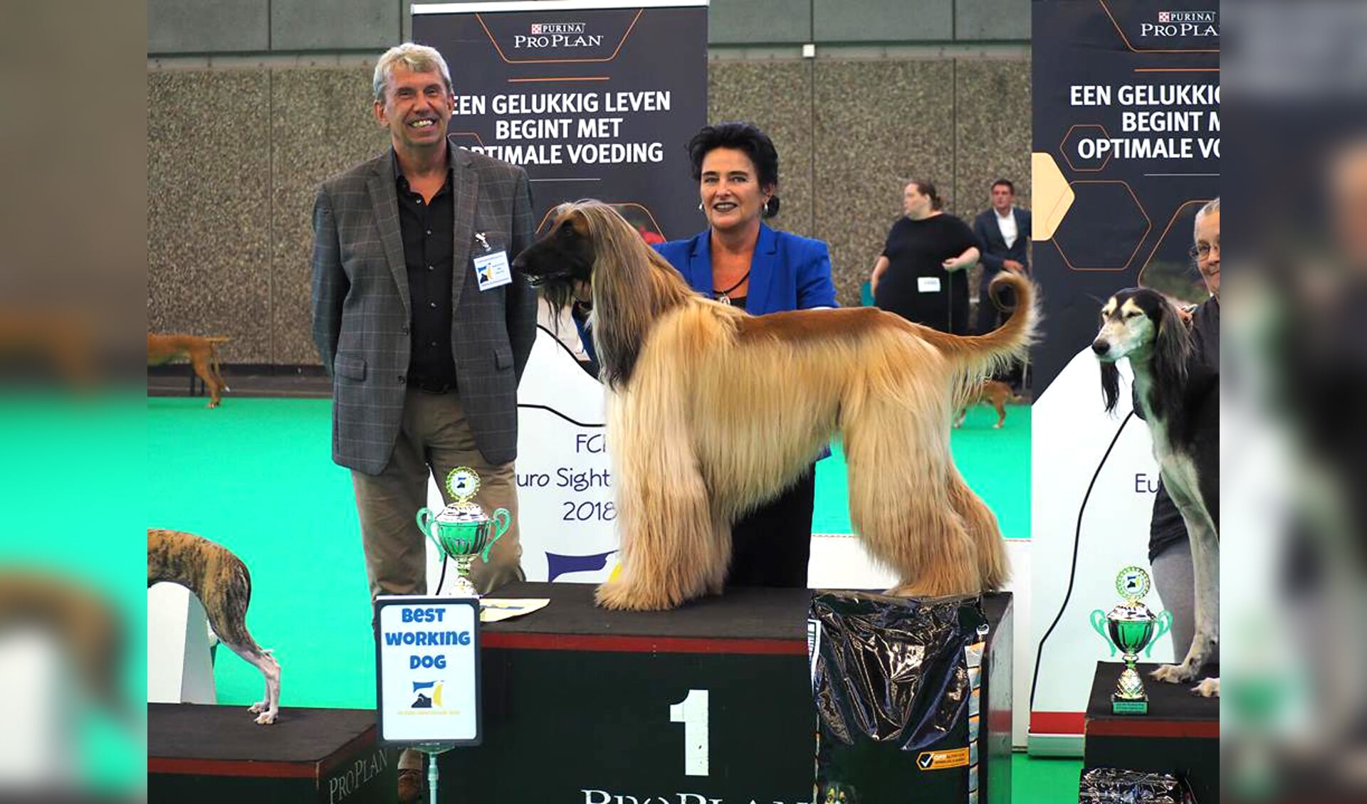 Rhett is wereldkampioen geworden in de werkhonden klasse. (Foto: aangeleverd)