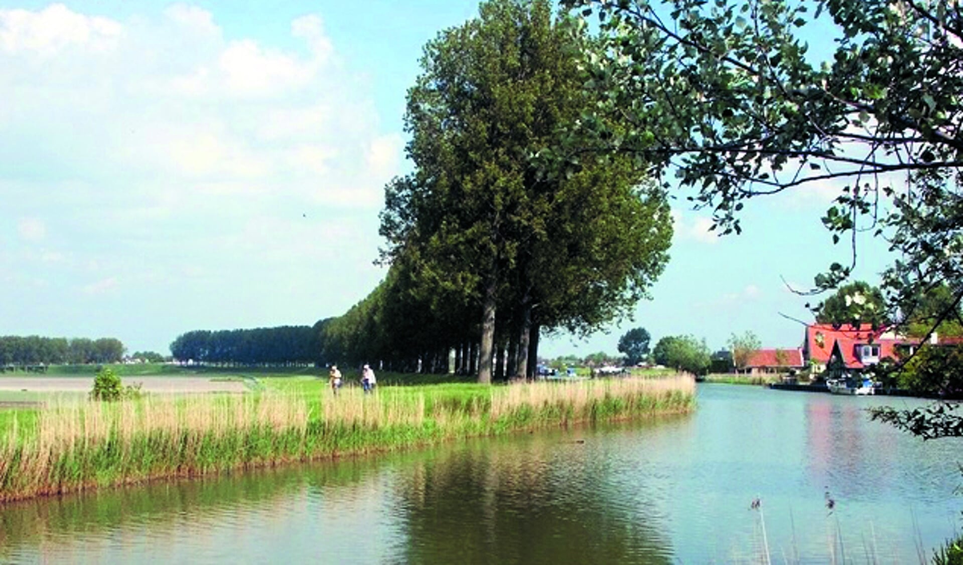 Vergezicht in de polder. (Foto: aangeleverd)